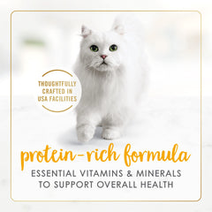 Purina Fancy Feast servie dans une assiette pour chat encourageant la prise alimentaire