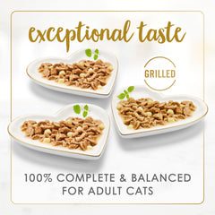 Fancy Feast servi dans une assiette pour chat, attractivité du repas