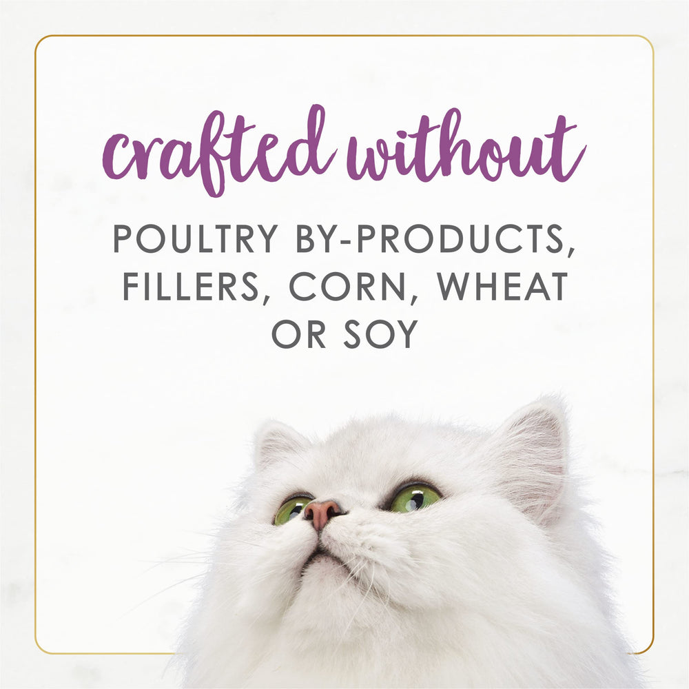 Fancy Feast chat qui mange en cuisine montrant acceptation du produit