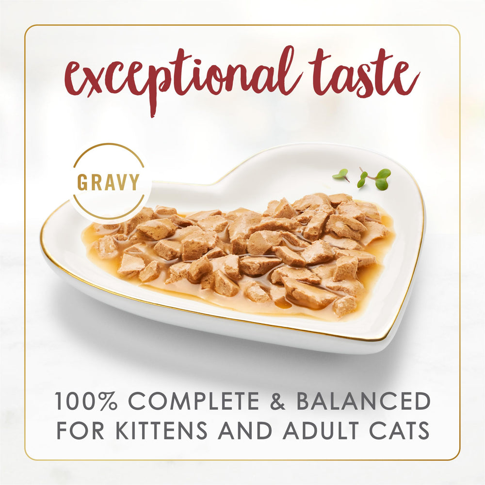 Fancy Feast bœuf conserve ouverte montrant la texture et la sauce appétente