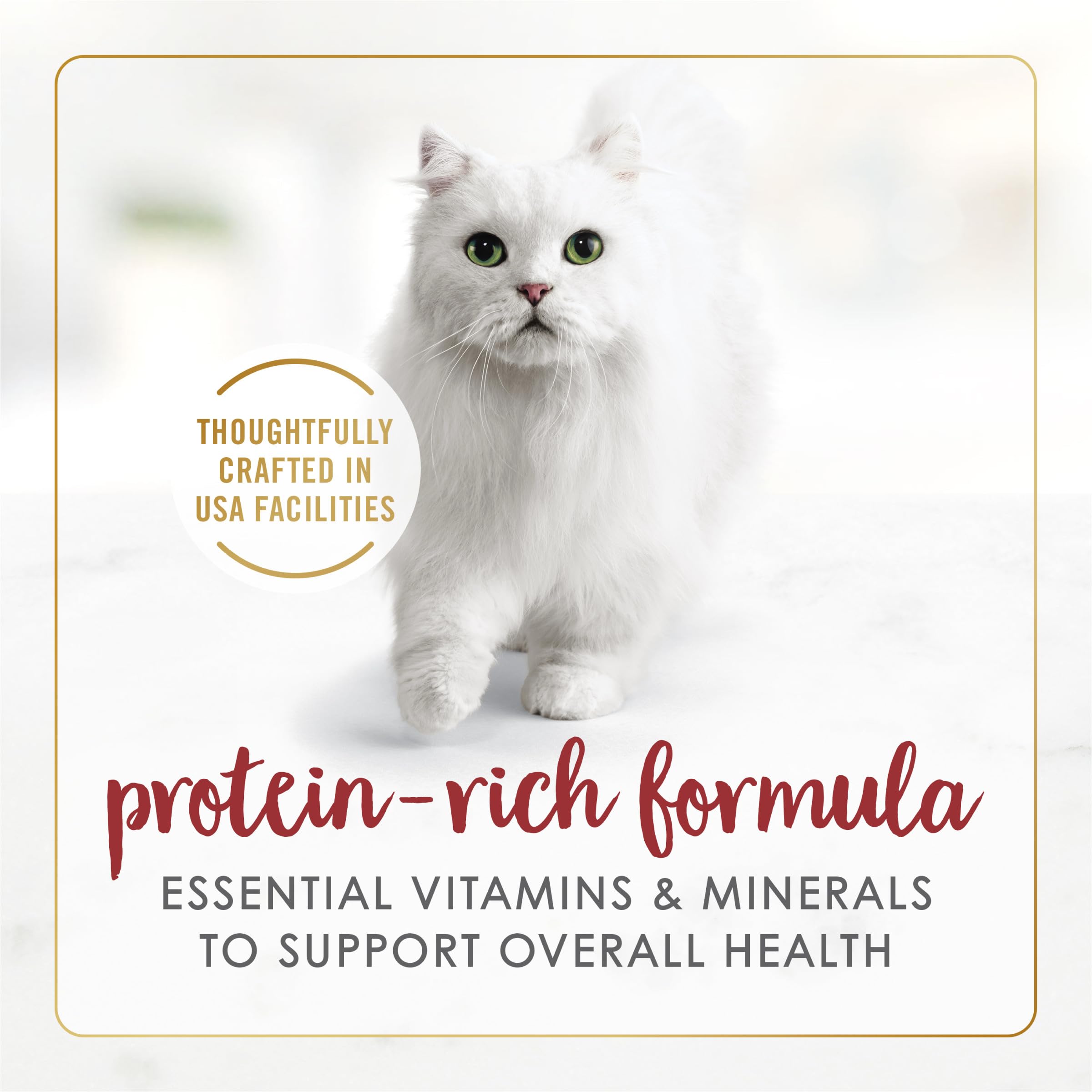 Fancy Feast portion servie dans une gamelle pour montrer la présentation du repas