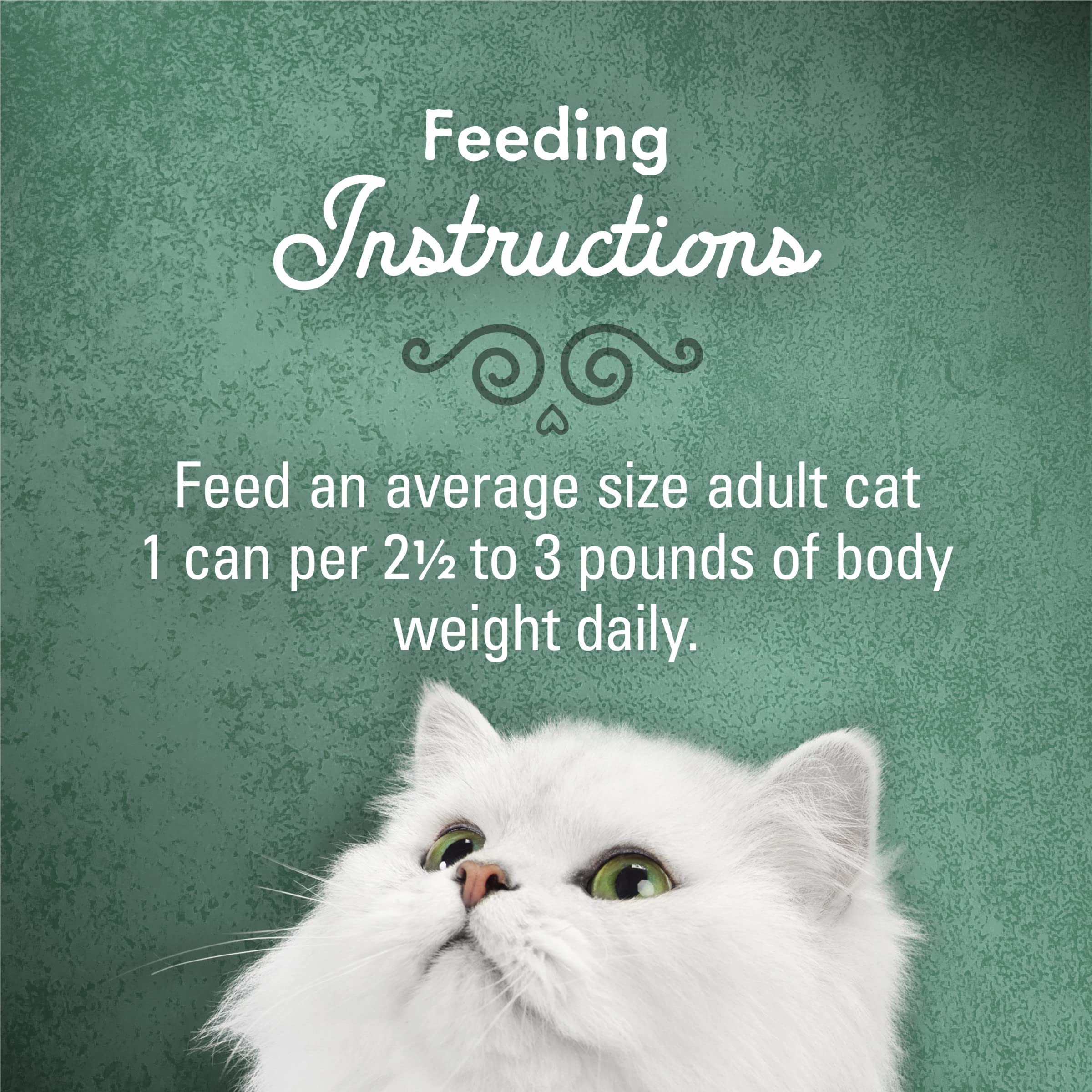 Fancy Feast chat dégustant en cuisine, moment gourmand partagé