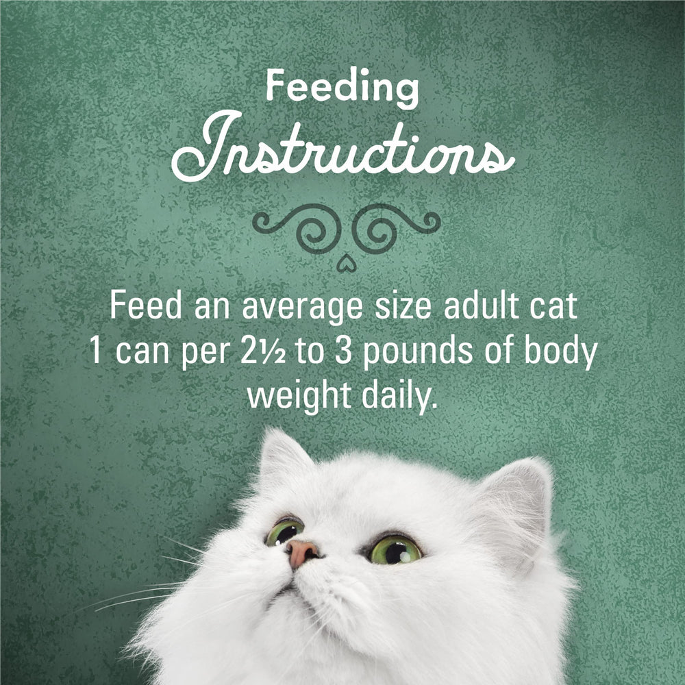 Fancy Feast chat dégustant en cuisine, moment gourmand partagé