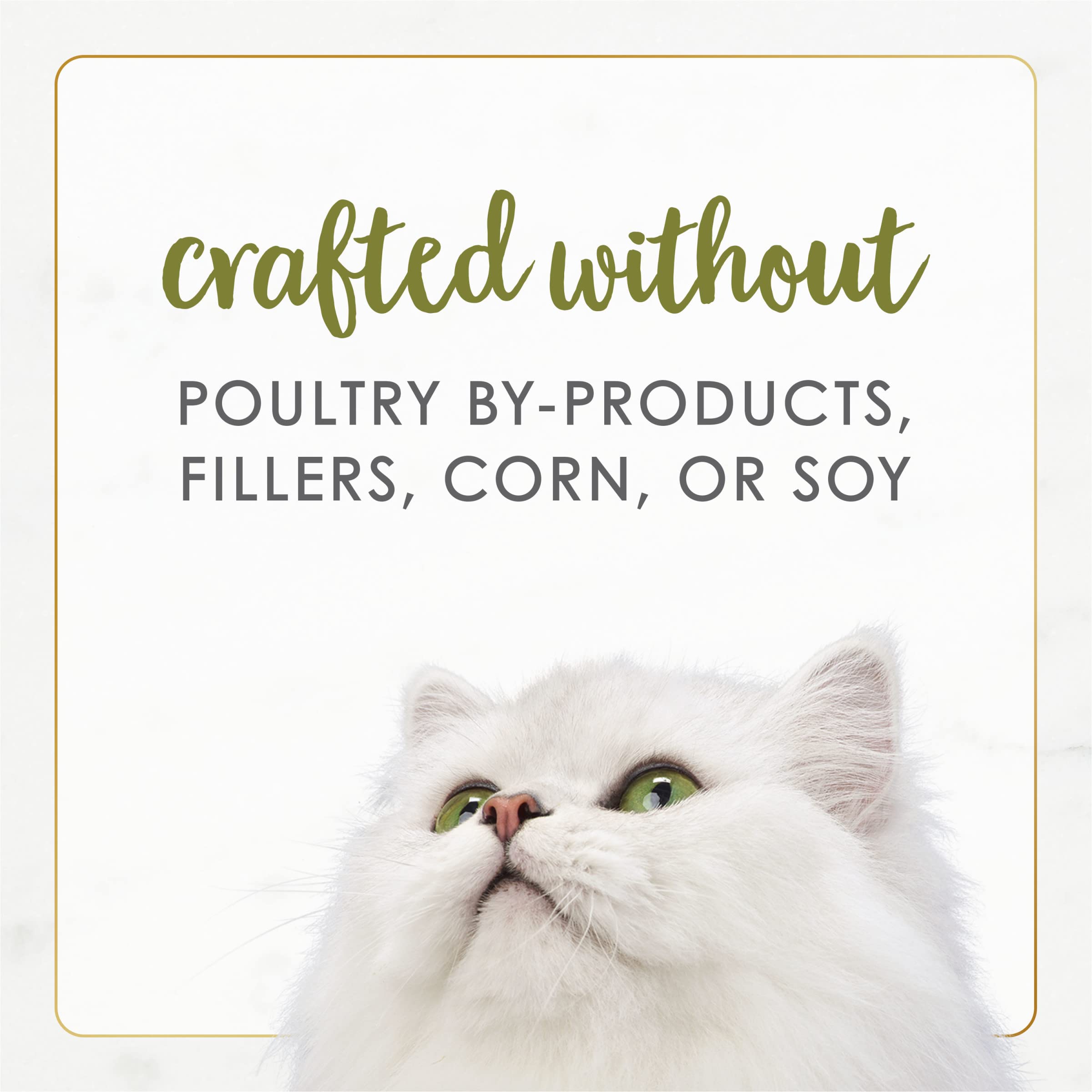 Fancy Feast chat mange en intérieur, goût testé et apprécié par l'animal