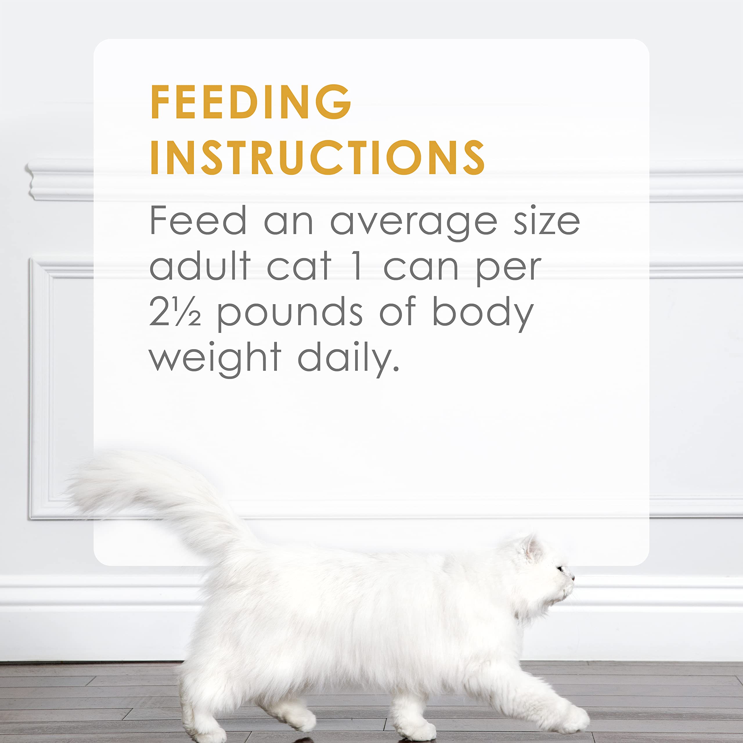 Purina Fancy Feast chat dégustant la pâtée illustrant plaisir et satisfaction