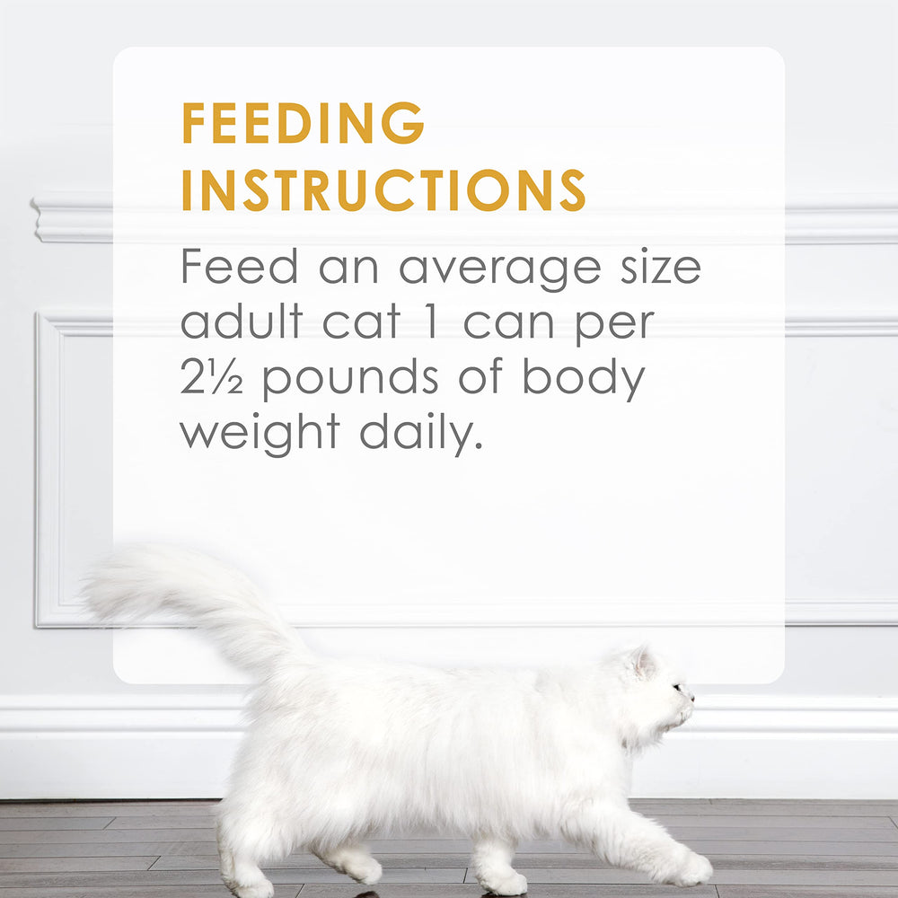 Purina Fancy Feast chat dégustant la pâtée illustrant plaisir et satisfaction