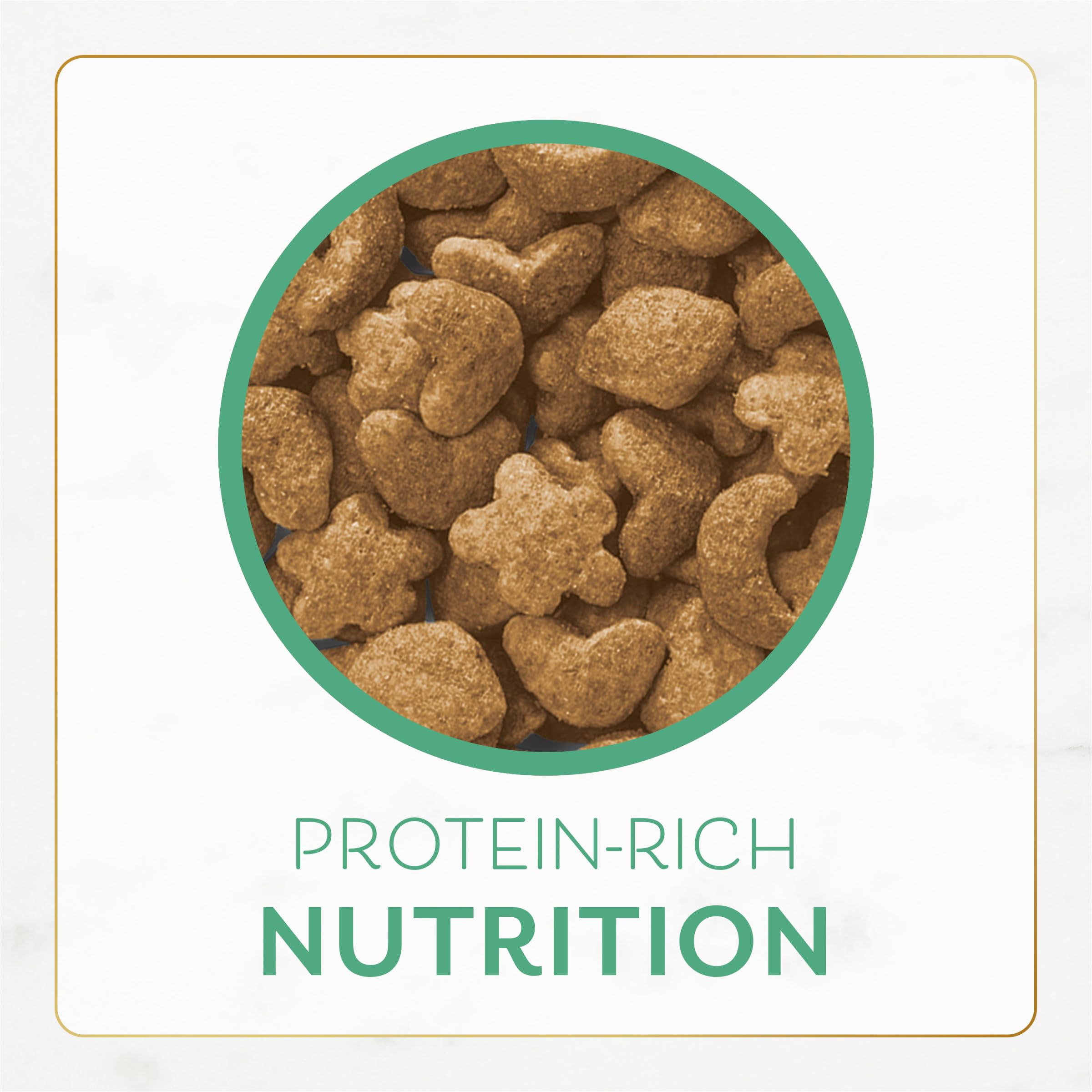 Fancy Feast chat qui mange démontrant acceptation et plaisir alimentaire