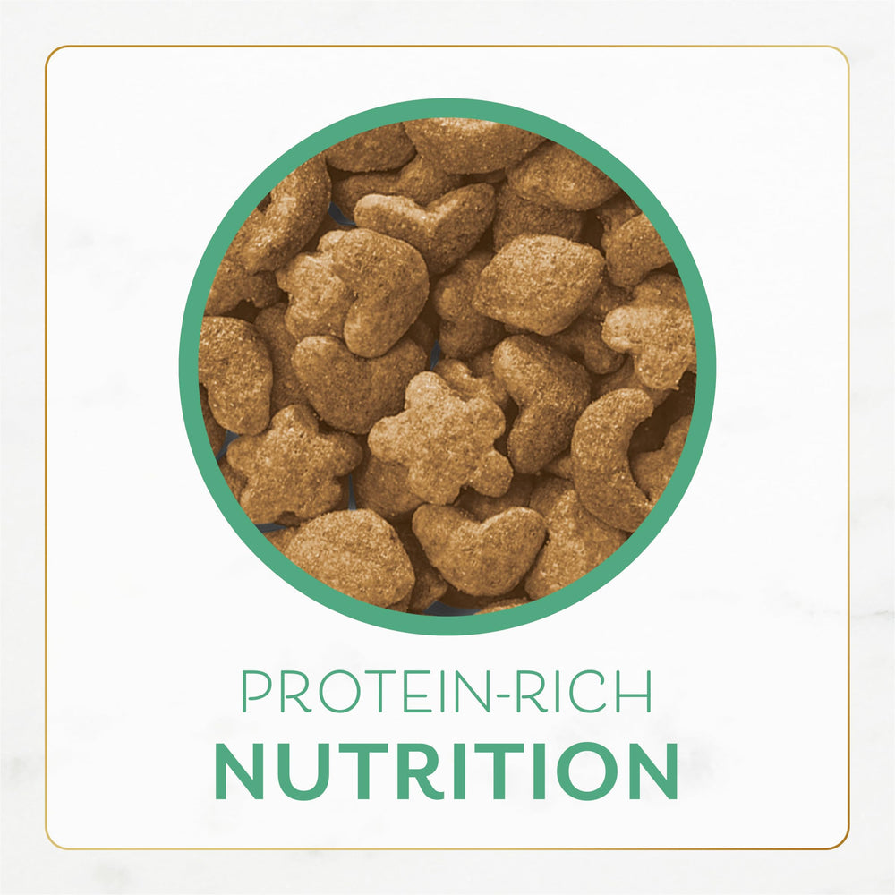 Fancy Feast chat qui mange démontrant acceptation et plaisir alimentaire