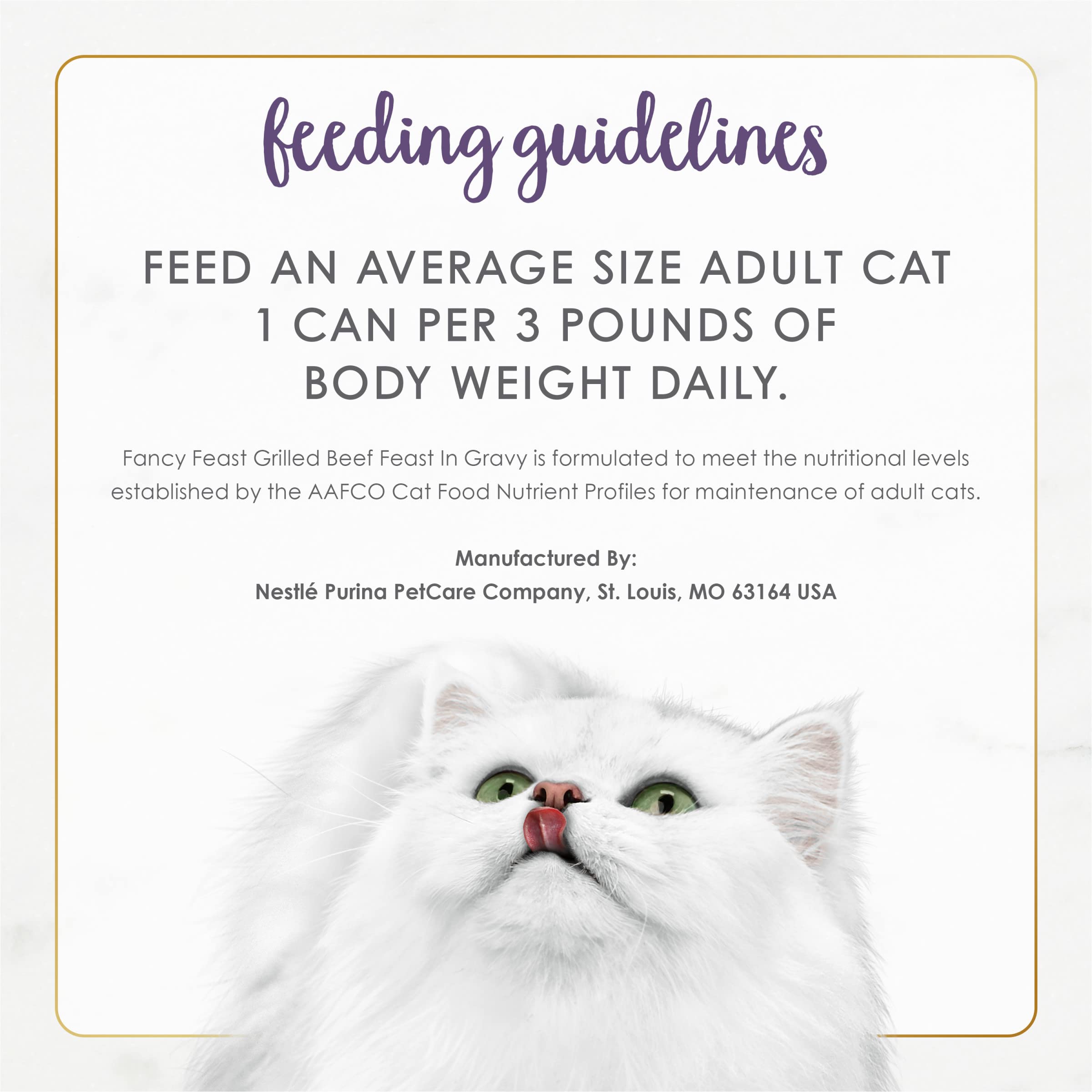 Fancy Feast chat dégustant la pâtée montrant l’acceptation du goût