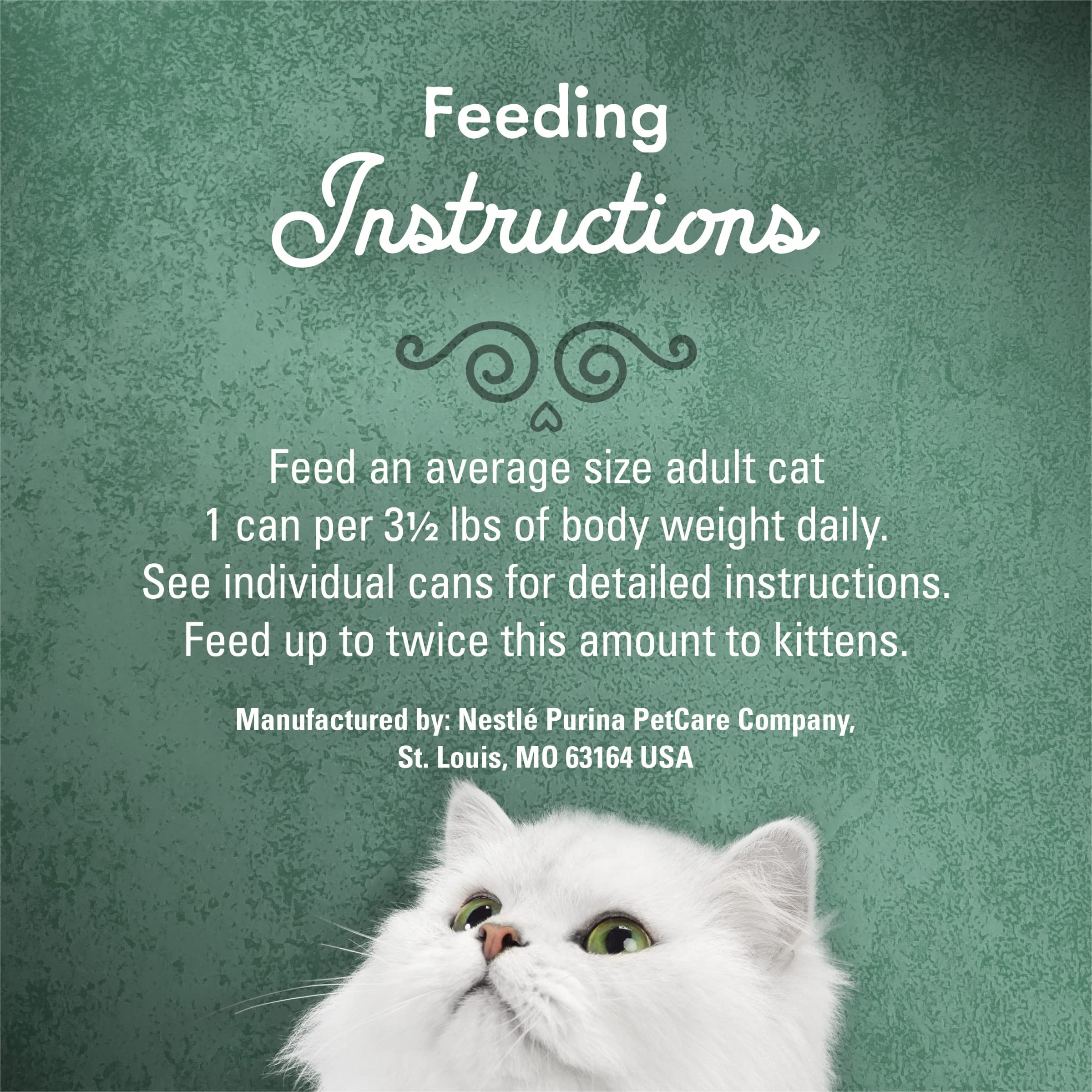 Fancy Feast boîte tenue en main pour comparaison taille pratique