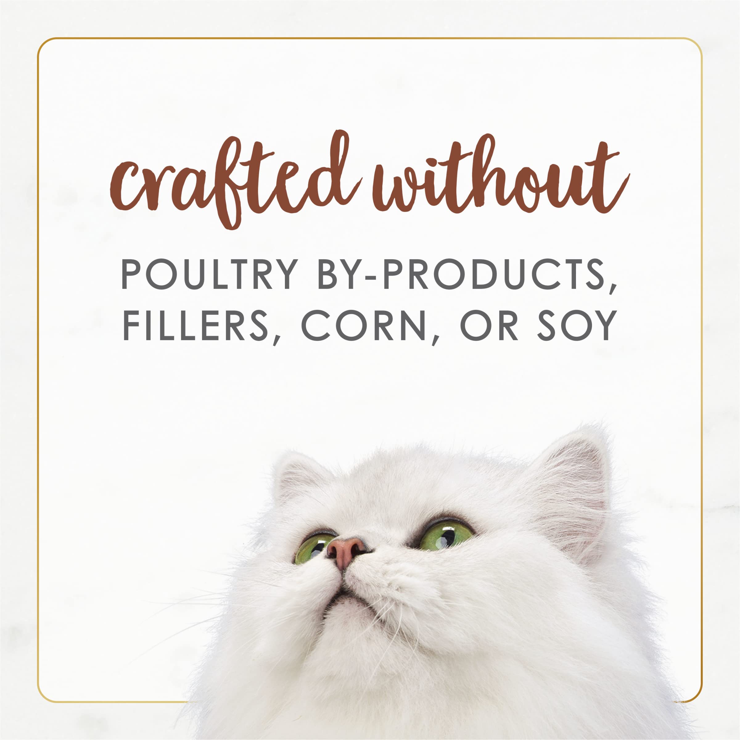 Fancy Feast comparaison taille de la boîte bénéfice portion contrôlée