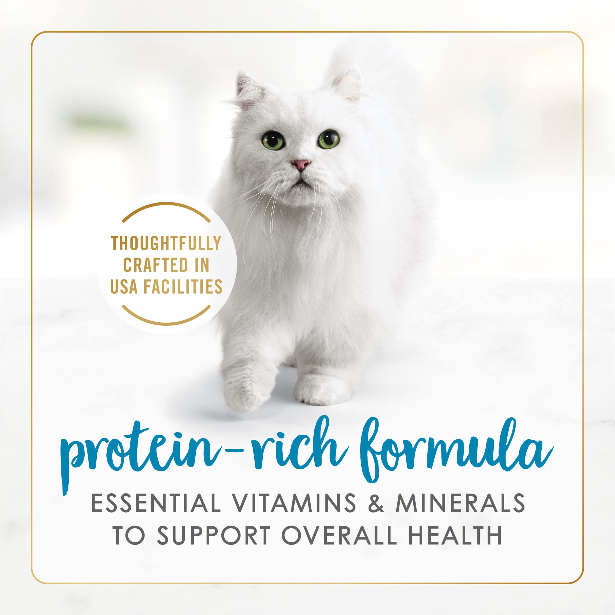 Fancy Feast pâtée servie en gamelle stimulante pour l'appétit du chat