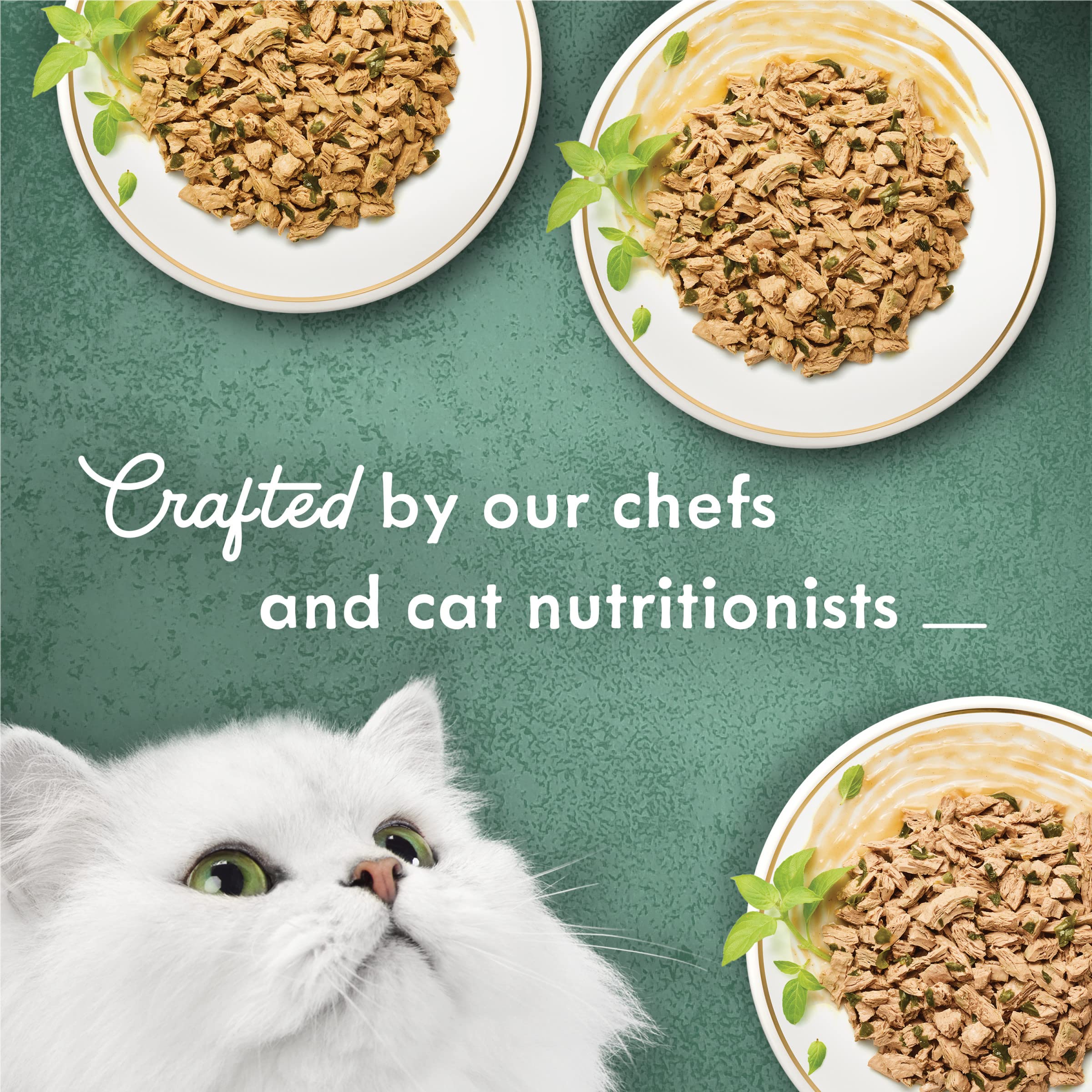 Fancy Feast thon effiloché gros plan révélant morceaux savoureux