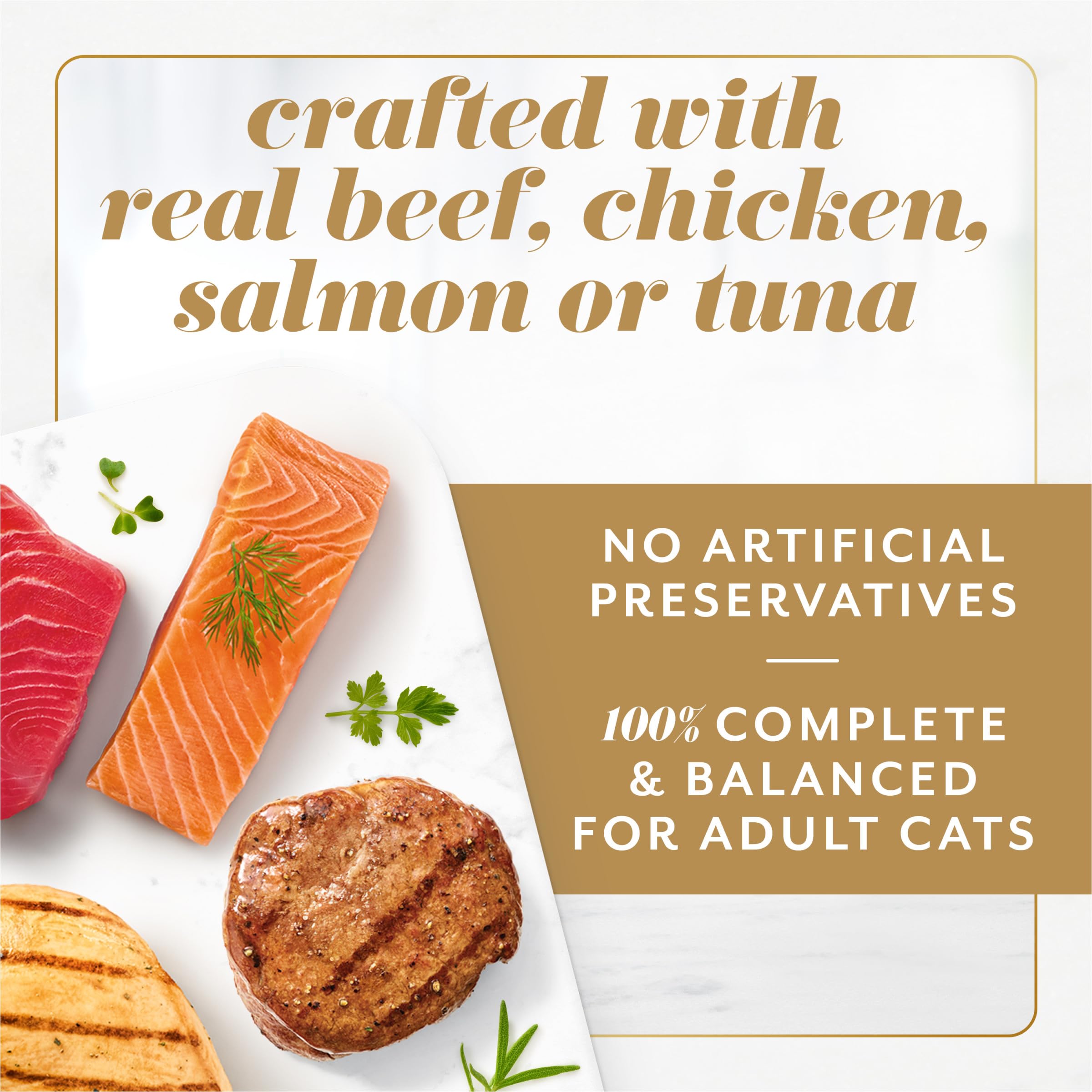 Détail du filet de sauce Fancy Feast mettant en valeur l'arôme et l'humidité complémentaire