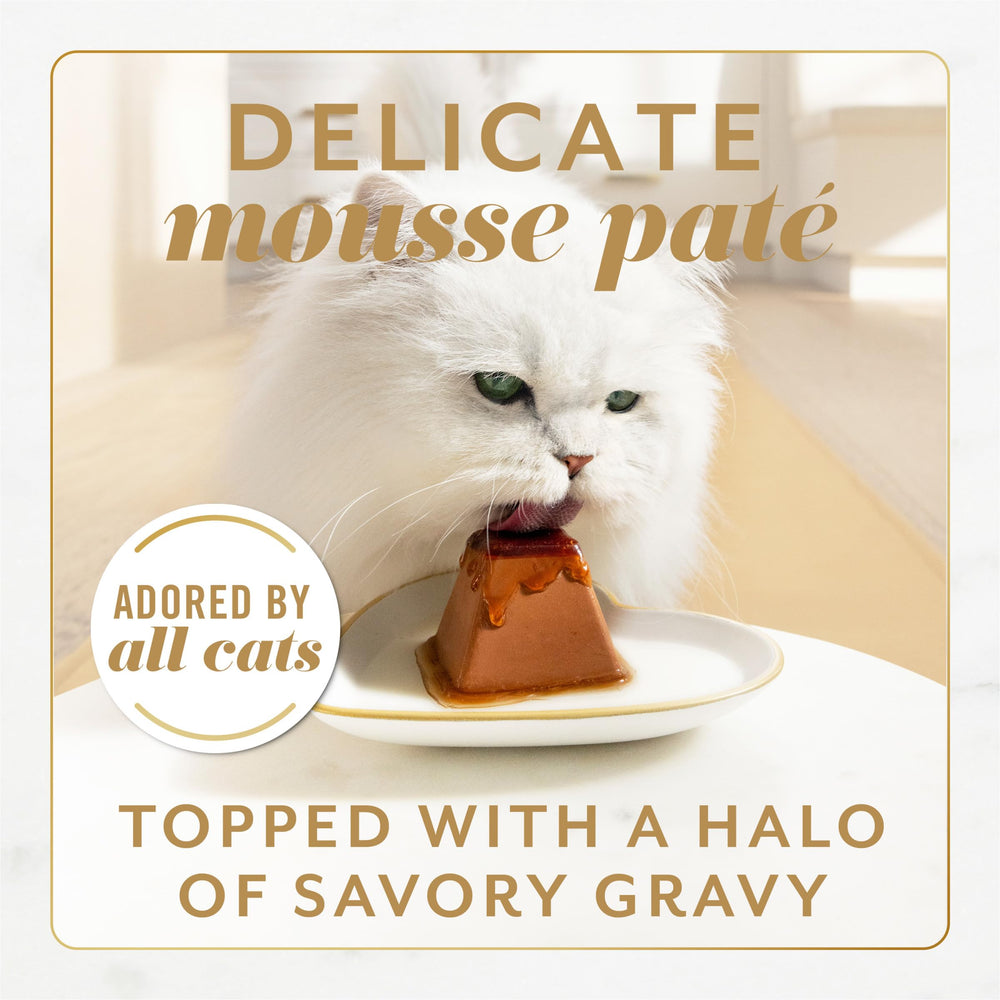 Vue rapprochée de la mousse Fancy Feast montrant la texture onctueuse bénéfique pour l'appétit