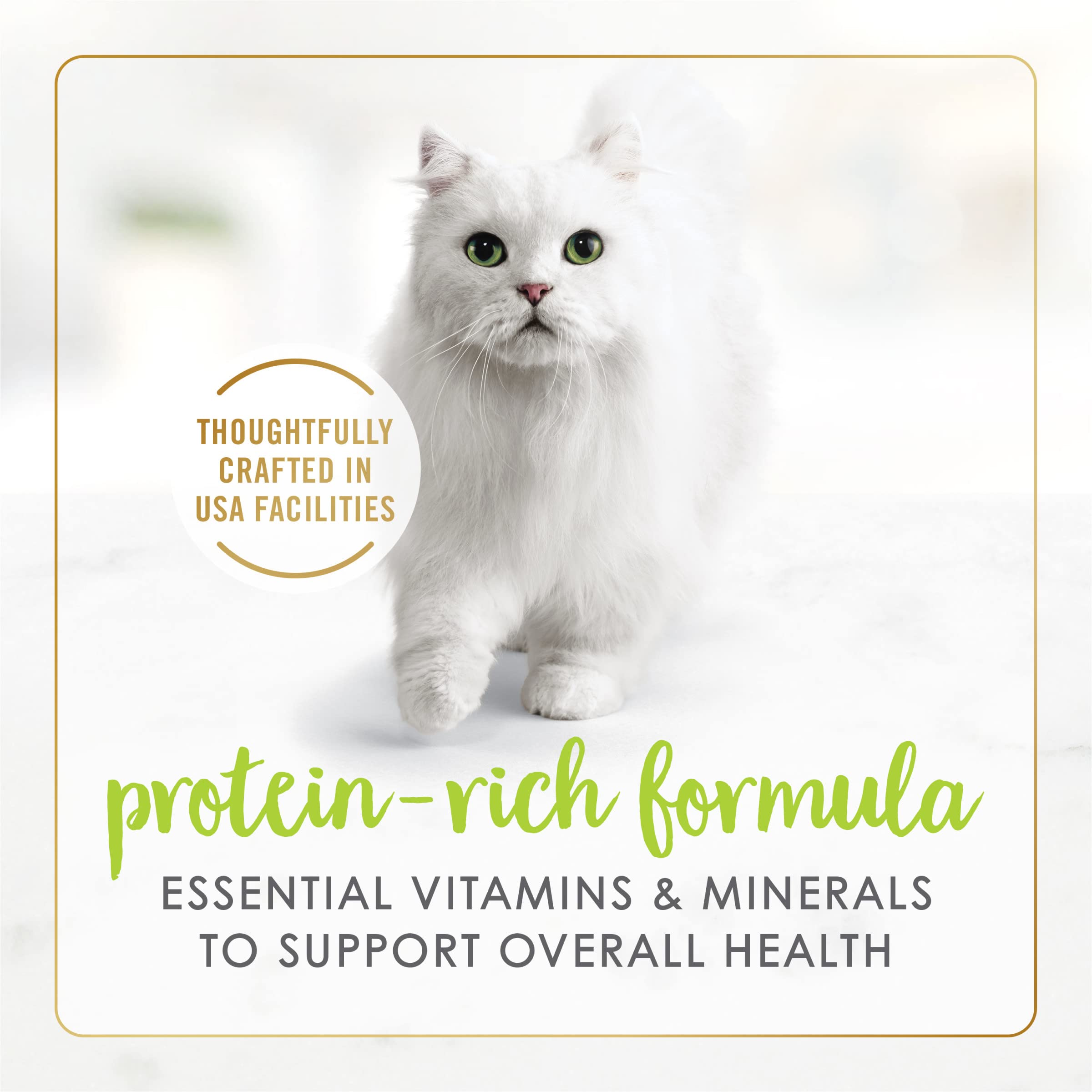 Fancy Feast portion servie dans une assiette augmentant l’attrait visuel du repas