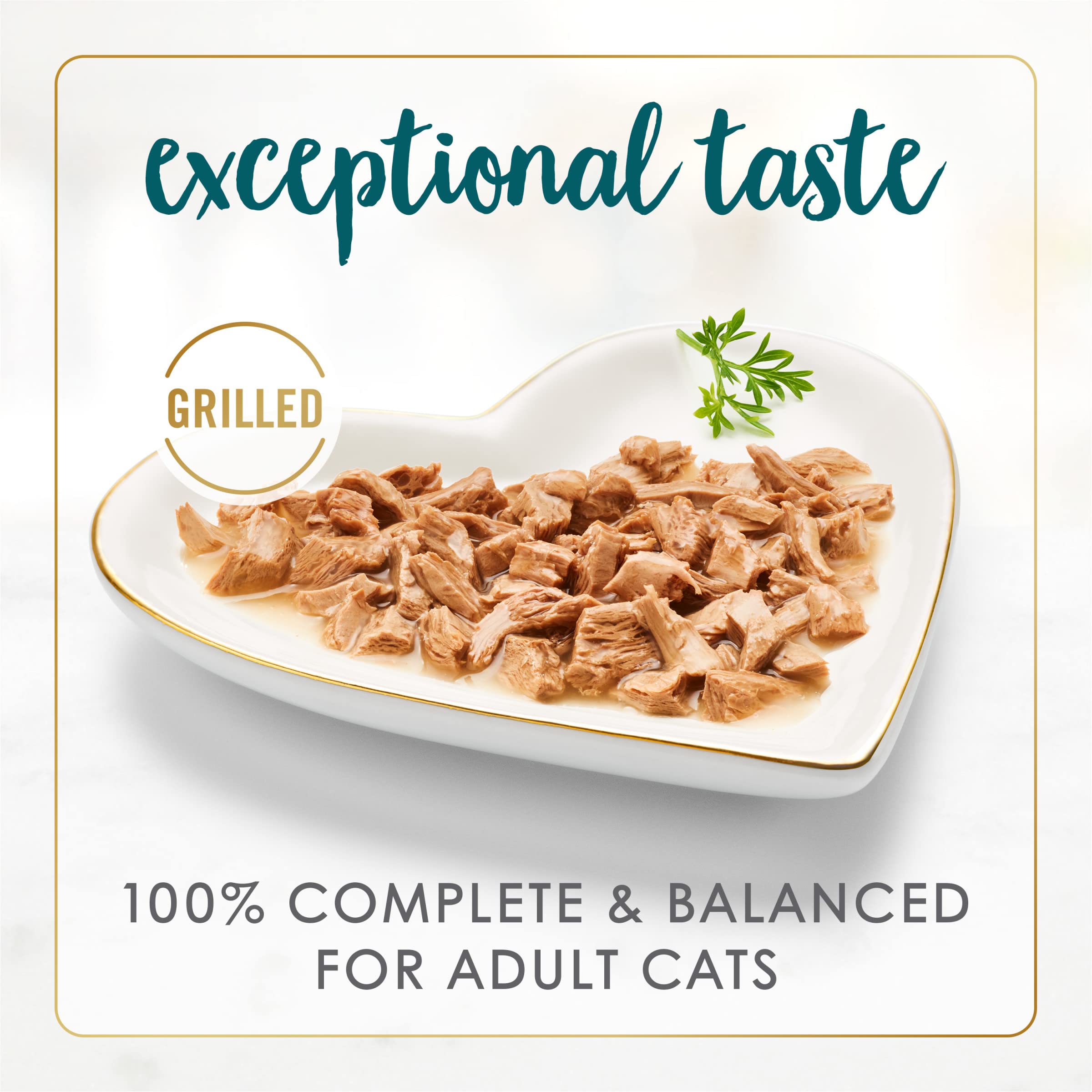 Fancy Feast gros plan sur dinde grillée, met en valeur ingrédients réels