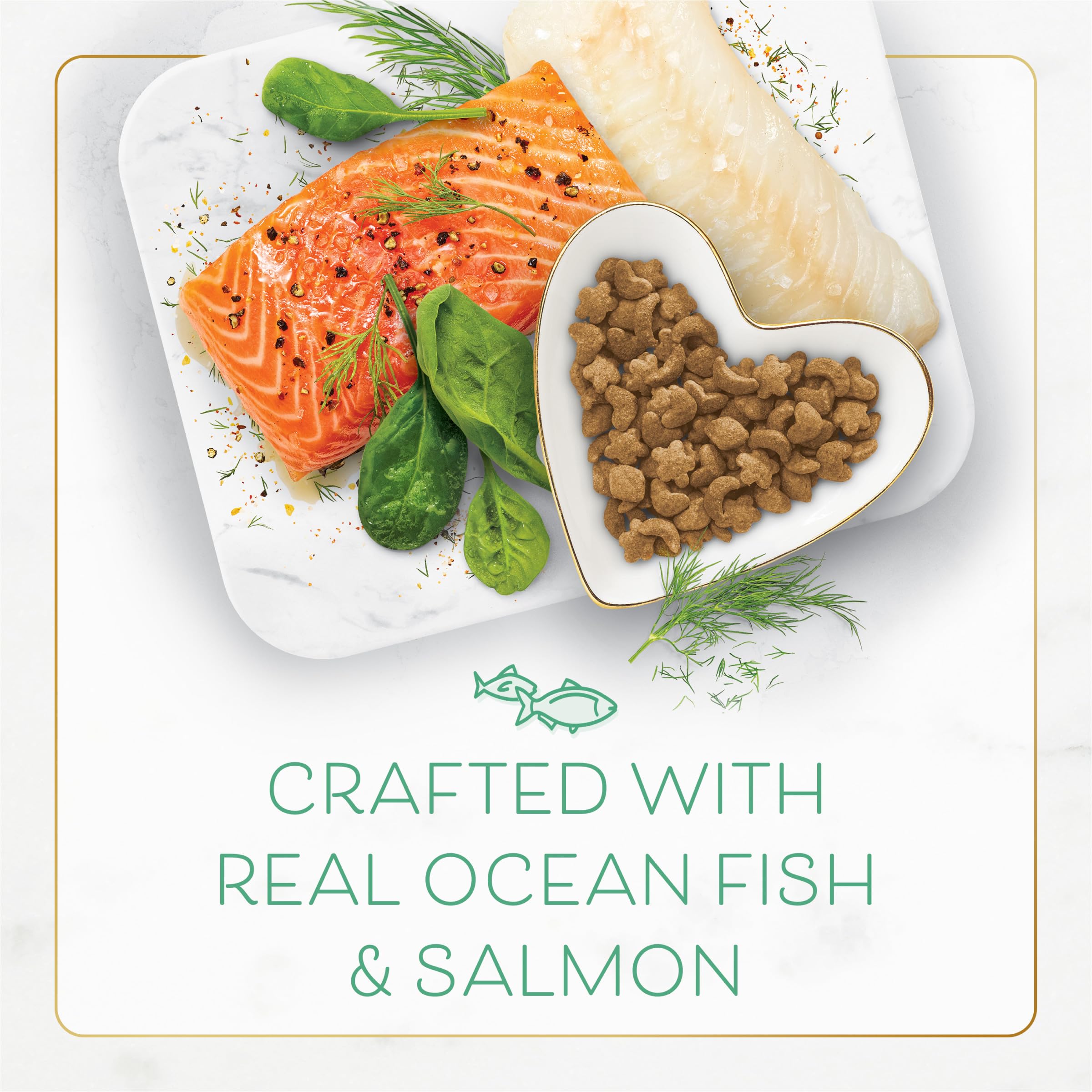Fancy Feast zoom sur saumon, saveur riche et appétente naturelle