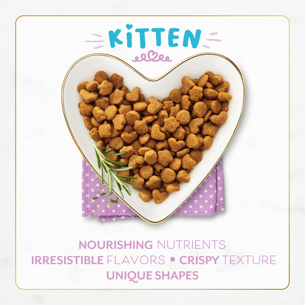 Fancy Feast gros plan texture nappée accentuant la saveur