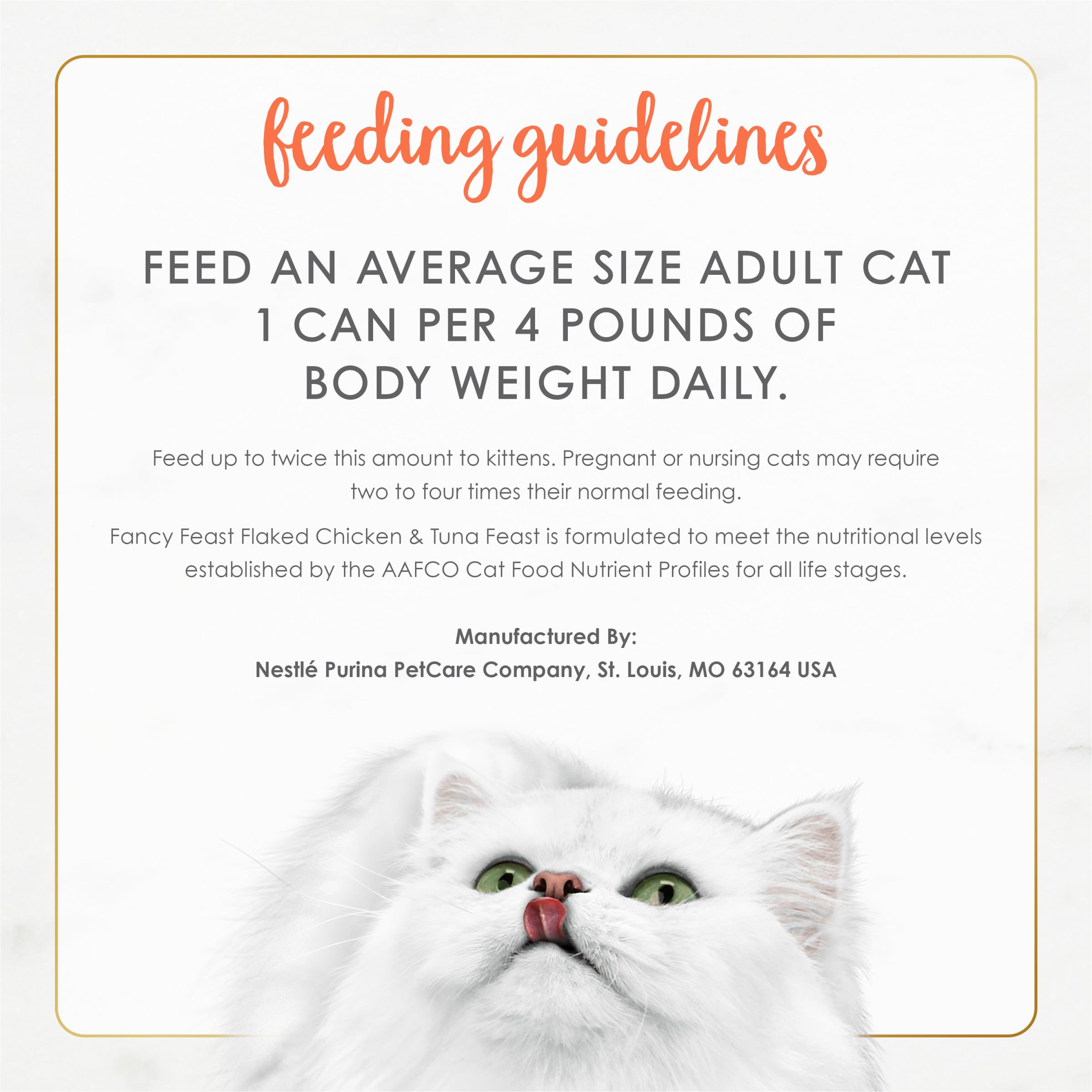 Fancy Feast bol posé pendant qu’un chat s’approche pour encourager appétit