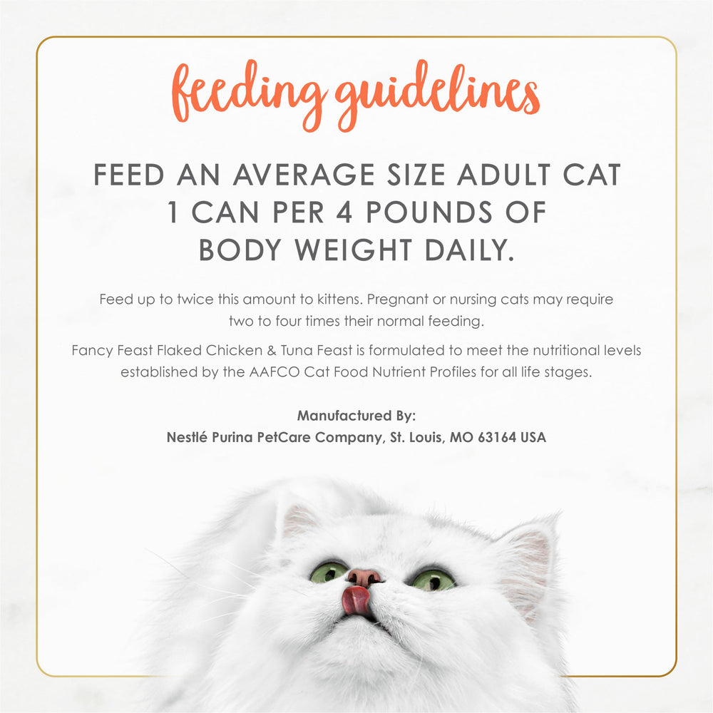 Fancy Feast bol posé pendant qu’un chat s’approche pour encourager appétit