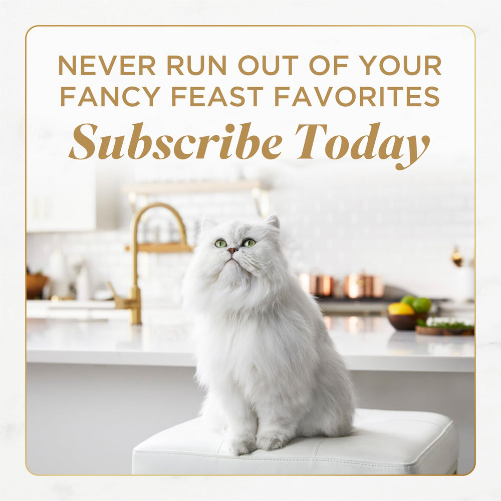 Fancy Feast mise en situation en cuisine, préparation rapide des repas
