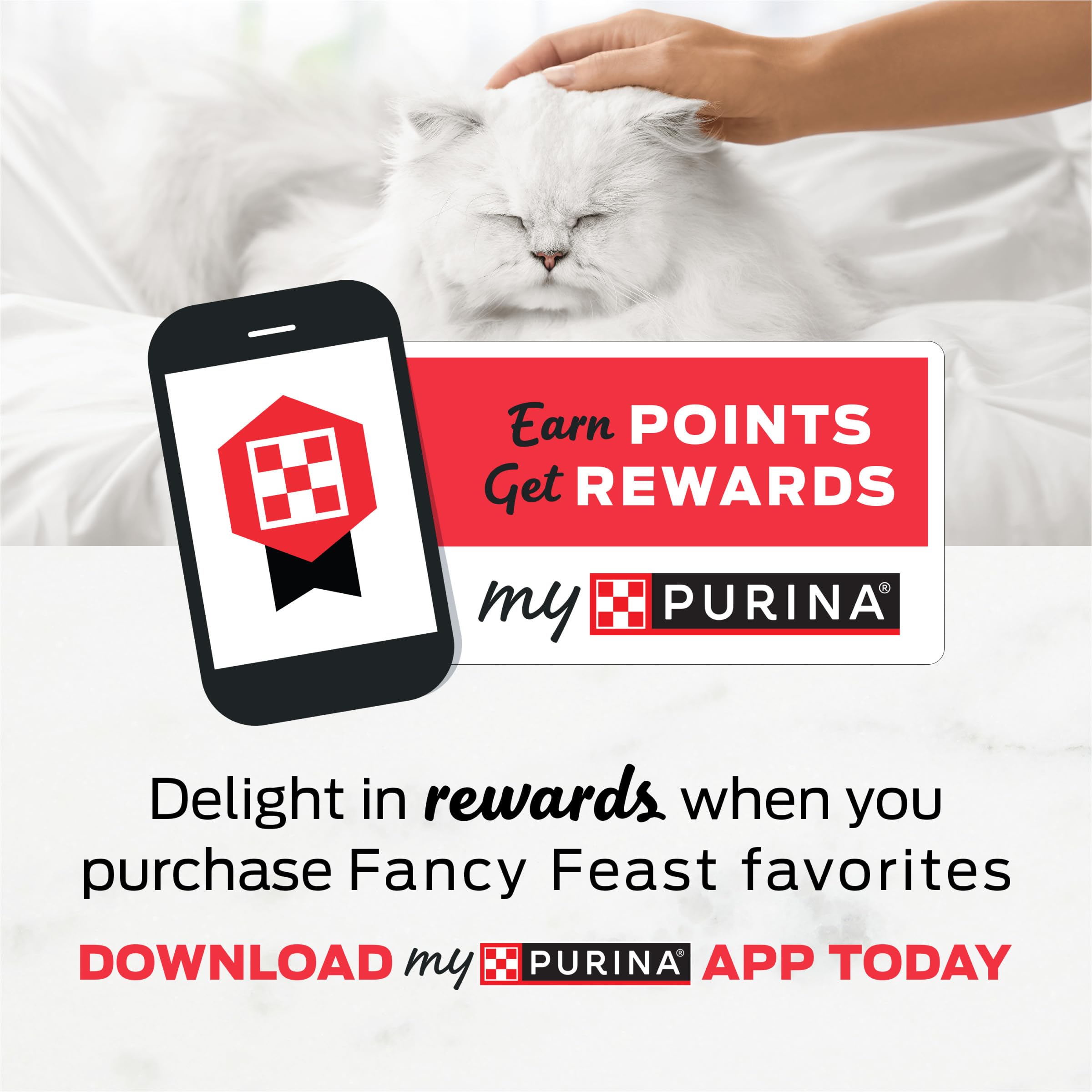 Fancy Feast moment de gourmandise avec chat approchant, idéal pour récompenser