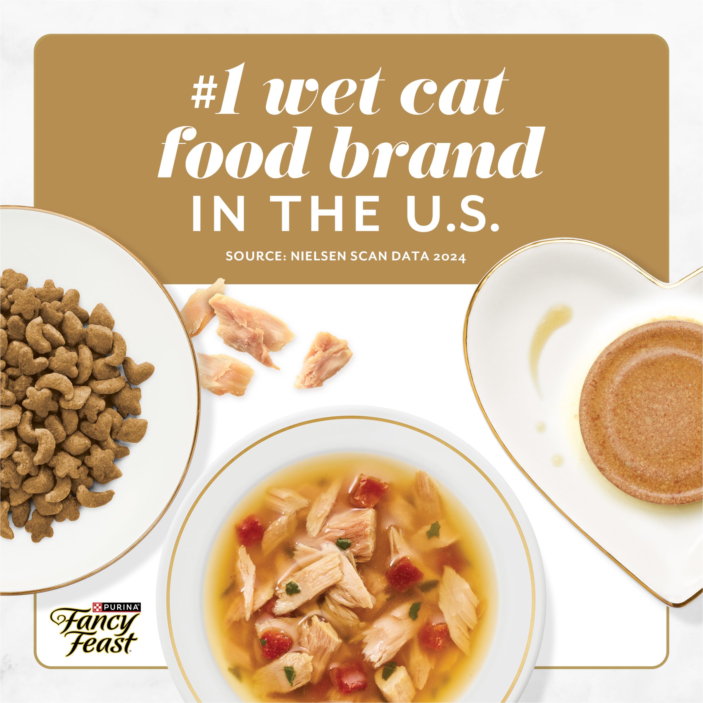 Fancy Feast chat dégustant la pâté démontrant plaisir et appétence