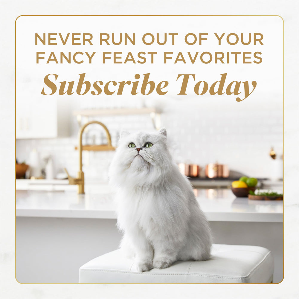 Fancy Feast étiquette ingrédients mettant en valeur bœuf et qualité