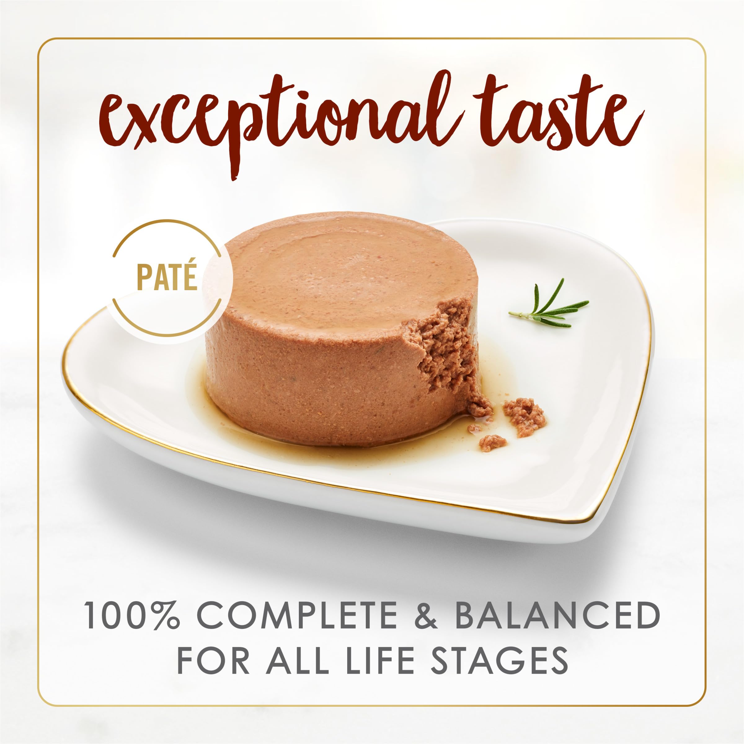 Fancy Feast close-up texture de pâté pour une ingestion facile et plaisante