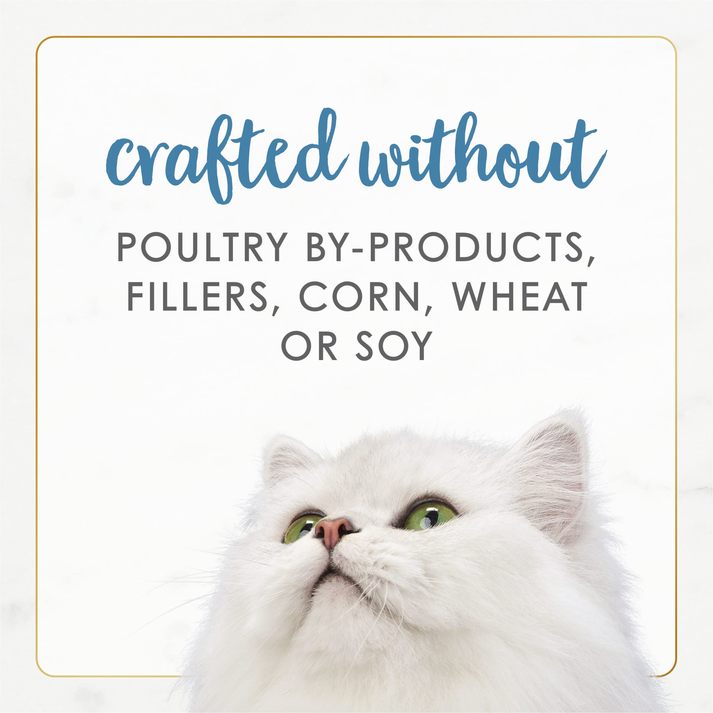 Fancy Feast comparaison de taille de boîte pour évaluer portions et conservation