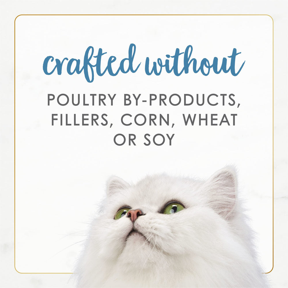 Fancy Feast comparaison de taille de boîte pour évaluer portions et conservation