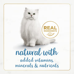 Fancy Feast boîte ouverte servie dans une assiette pour faciliter alimentation