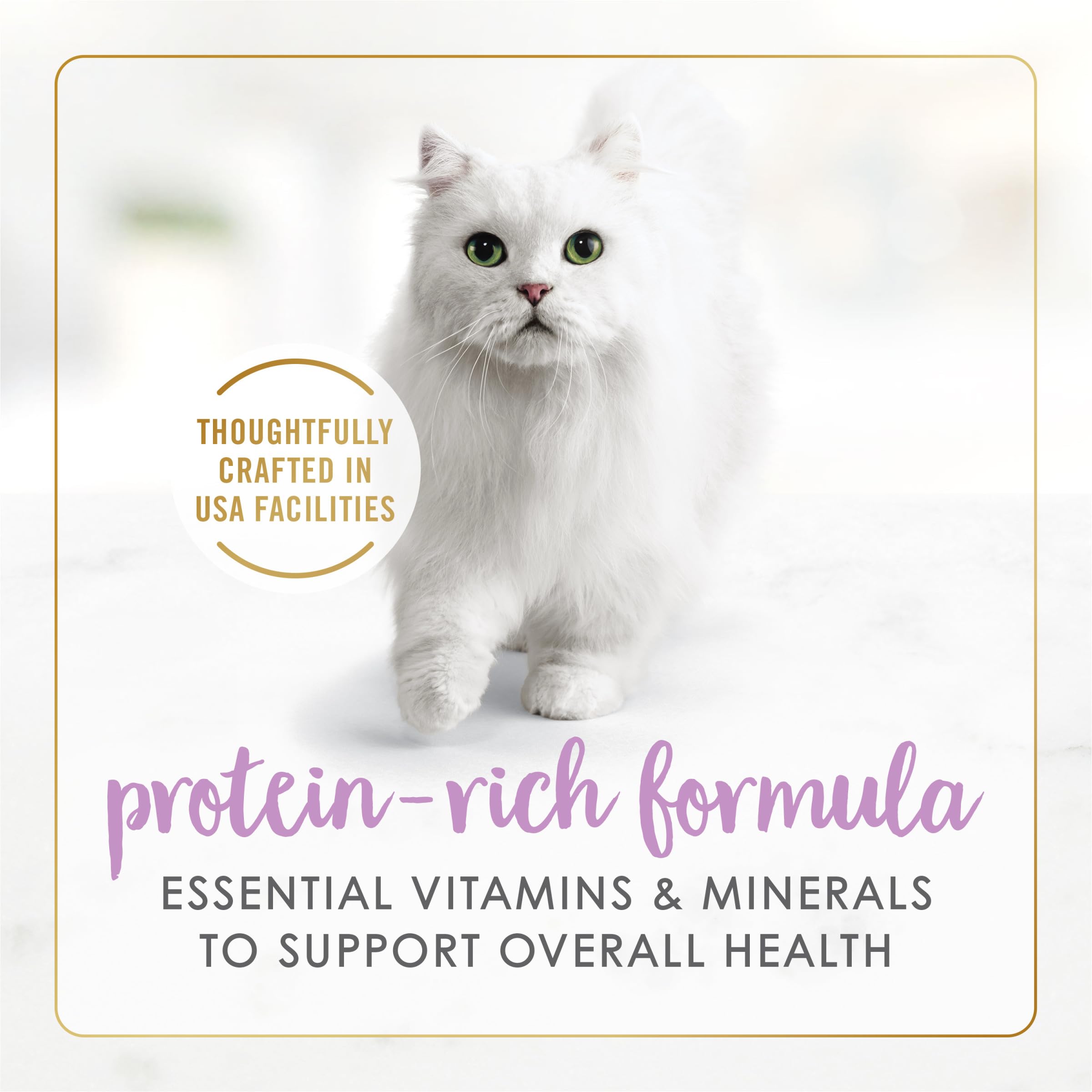 Fancy Feast portion servie dans une assiette attirante pour chat exigeant