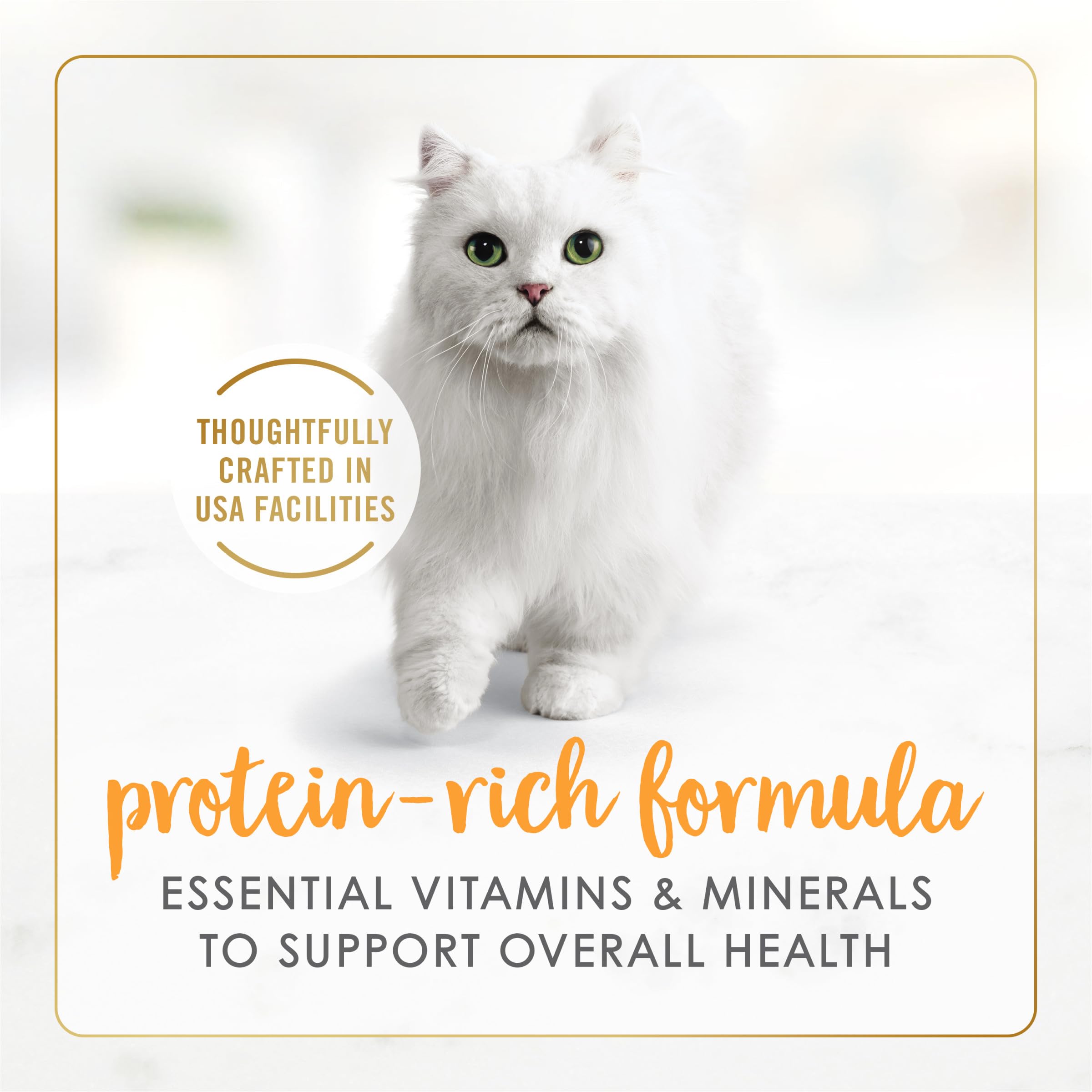 Fancy Feast portion servie dans une assiette montrant une présentation gourmande
