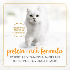 Fancy Feast portion servie dans une assiette montrant une présentation gourmande
