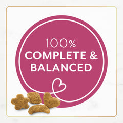 Fancy Feast portion de croquettes dans la main montrant taille pratique