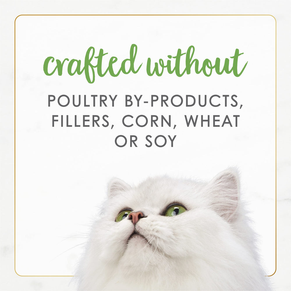 Fancy Feast chat dégustant la pâté montrant acceptation et plaisir