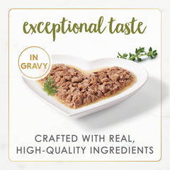 Fancy Feast gros plan sur morceaux de poulet blanc, haute qualité protéique