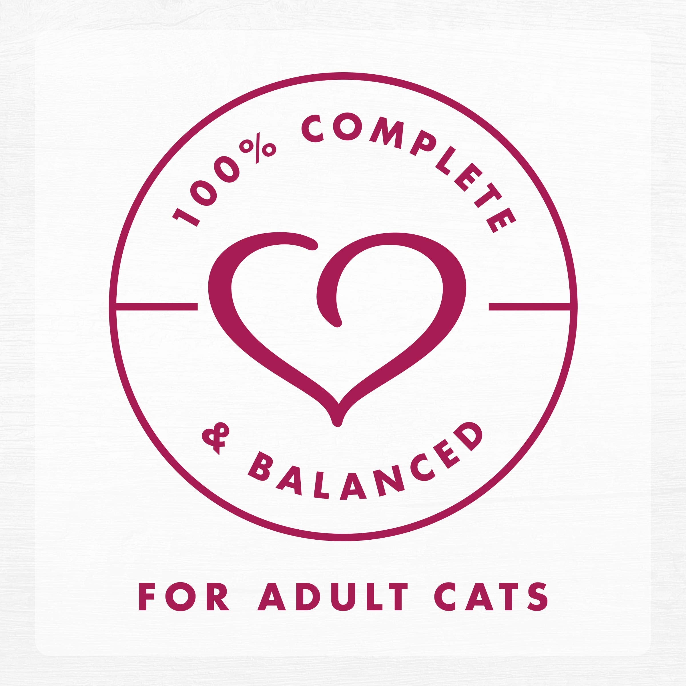 Fancy Feast chat dégustant la pâtée montrant acceptation et plaisir