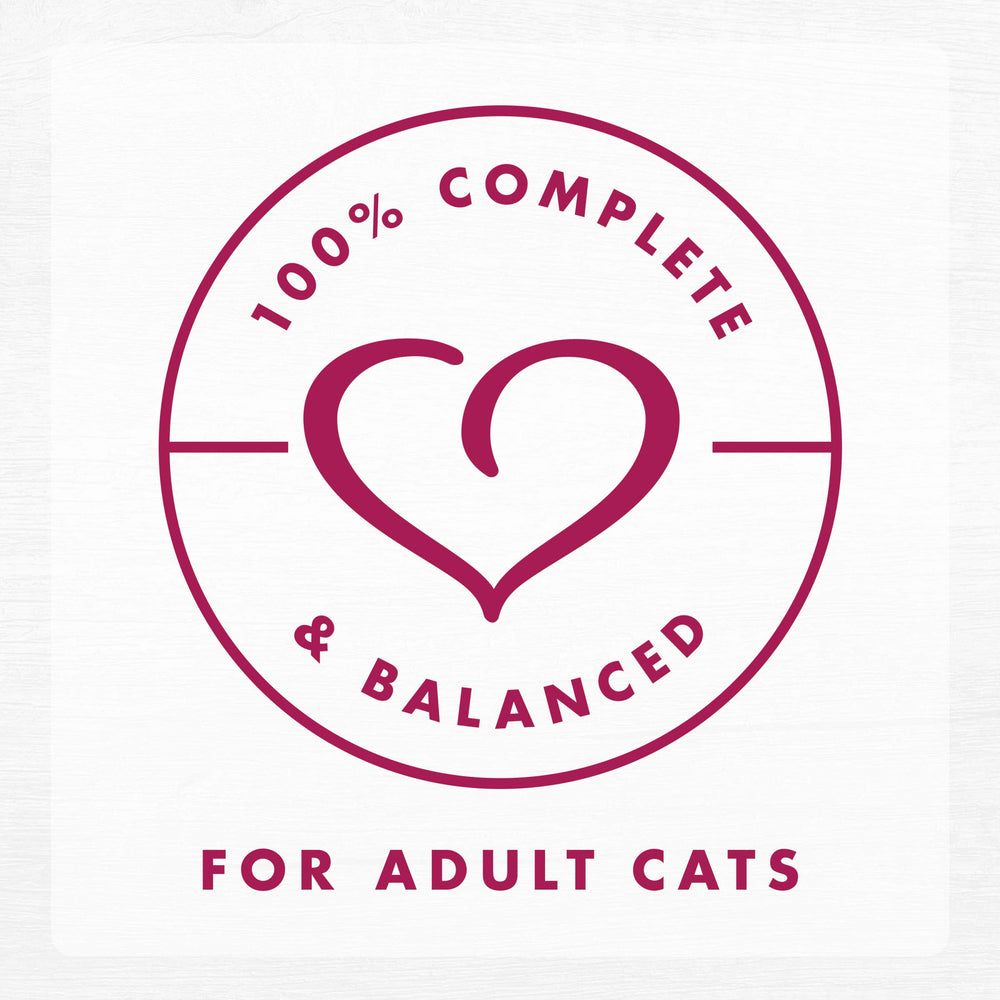 Fancy Feast chat dégustant la pâtée montrant acceptation et plaisir