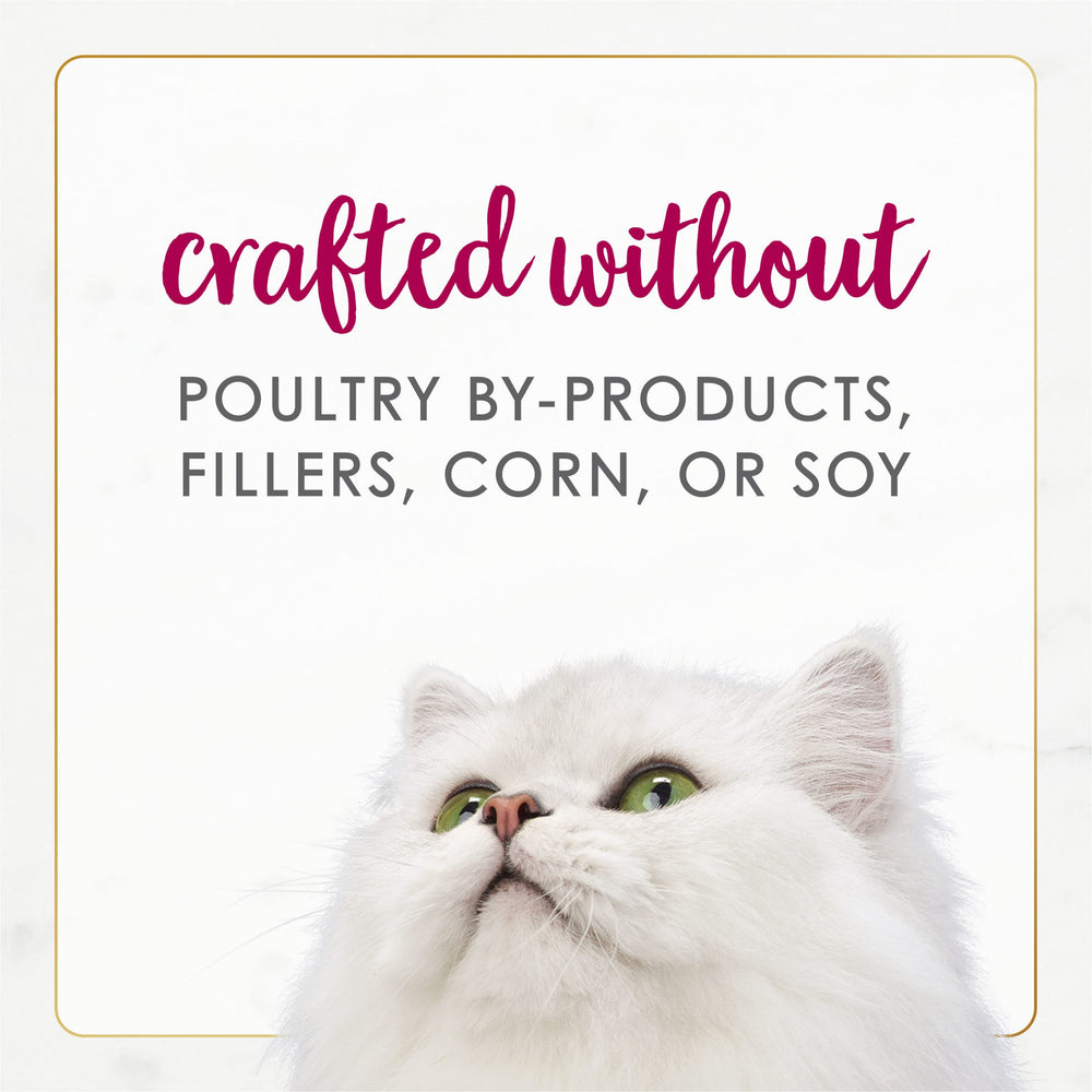 Fancy Feast pâtée servie dans une gamelle pour un repas pratique et savoureux