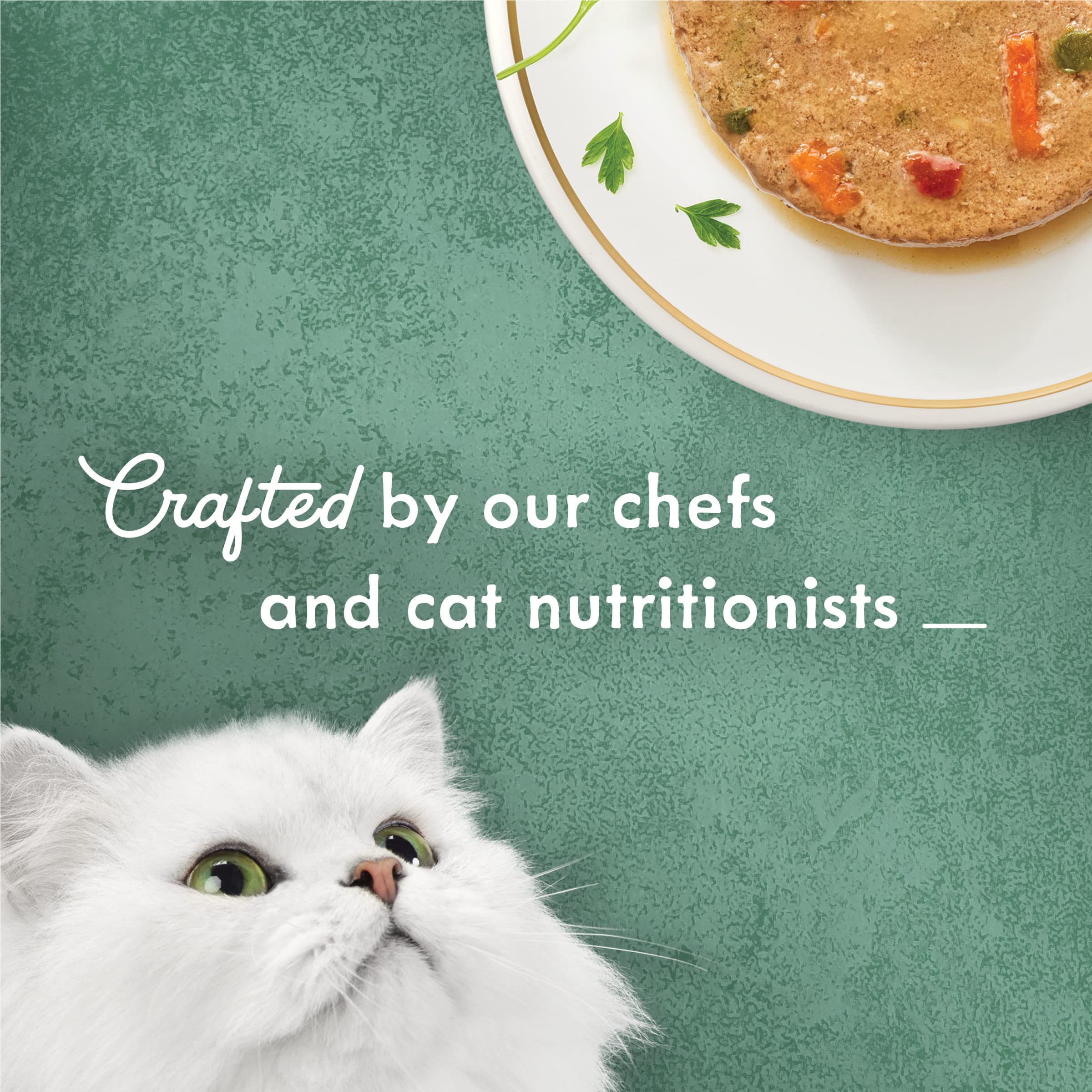 Fancy Feast Purina pack de 24 boîtes pour stockage pratique