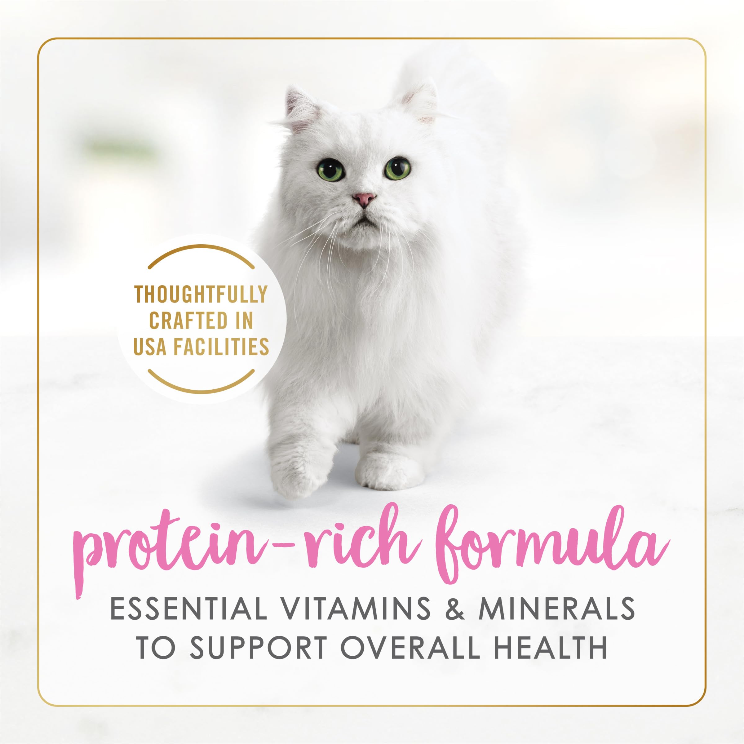 Fancy Feast Purina pâtée servie dans une assiette, repas prêt à consommer