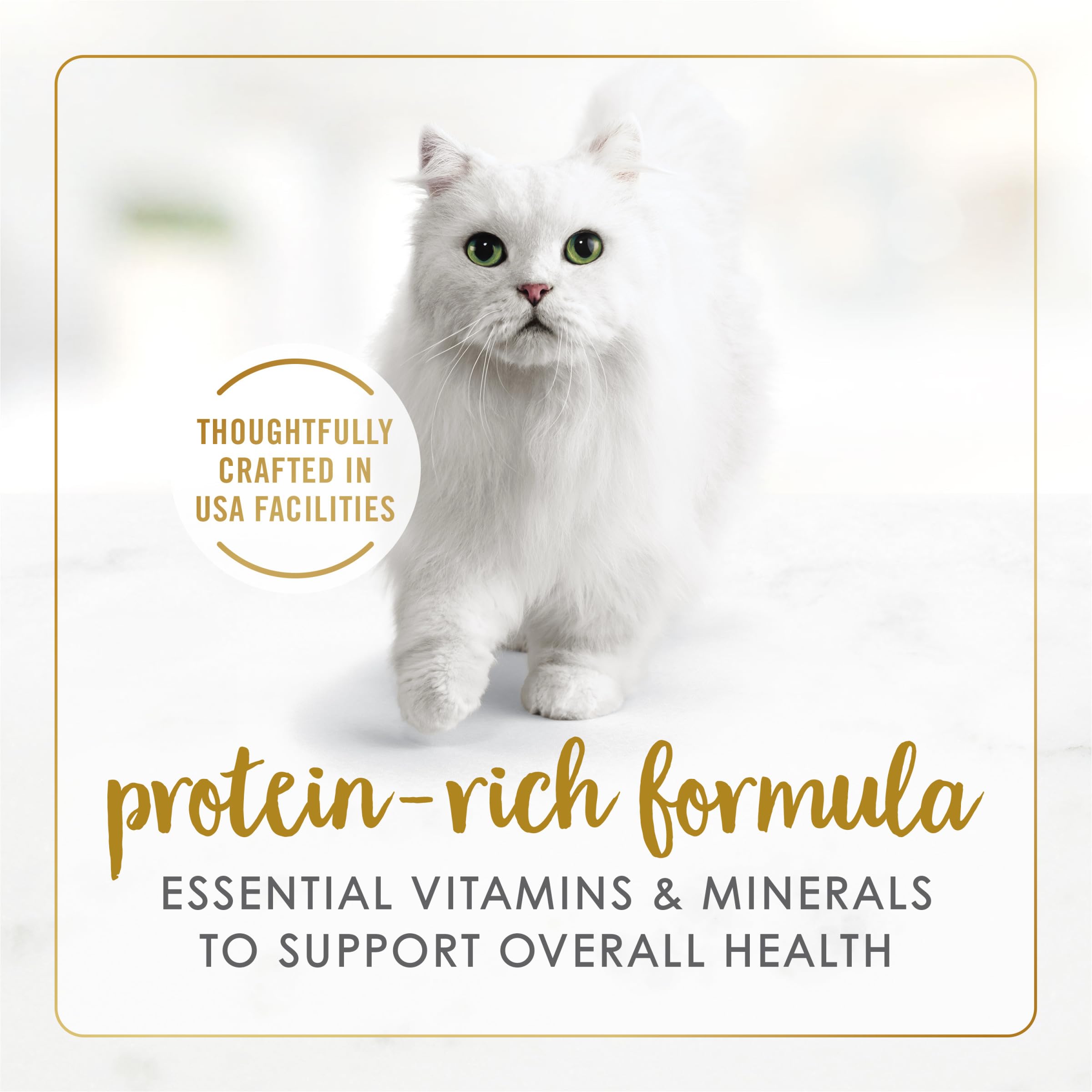 Fancy Feast Purina boîte ouverte montrant la pâté et le jus attractif