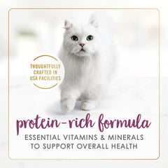 Fancy Feast Purina pâtée servie dans un bol pour appétit et hydratation