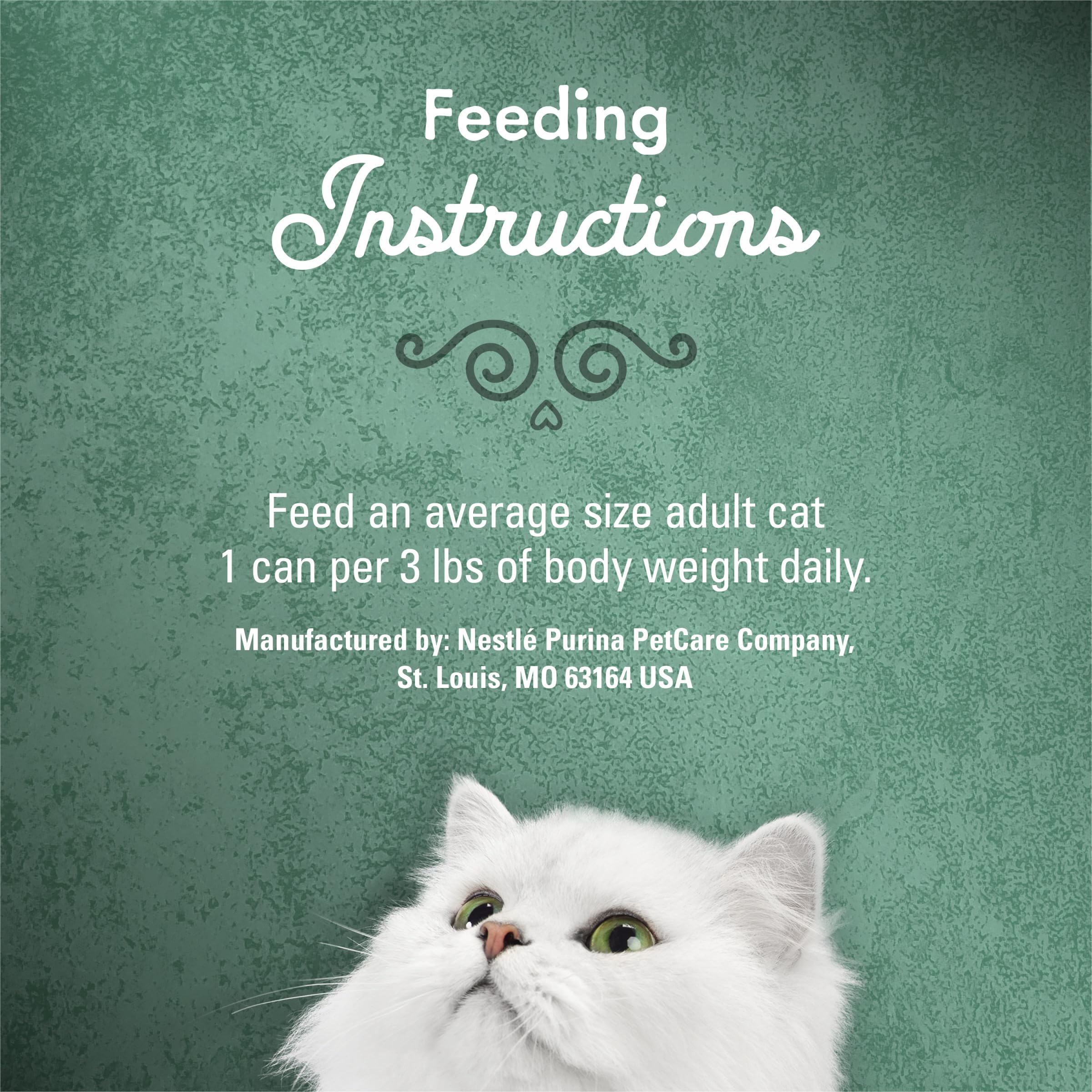 Fancy Feast Purina chat dégustant la pâtée pour montrer acceptation et plaisir
