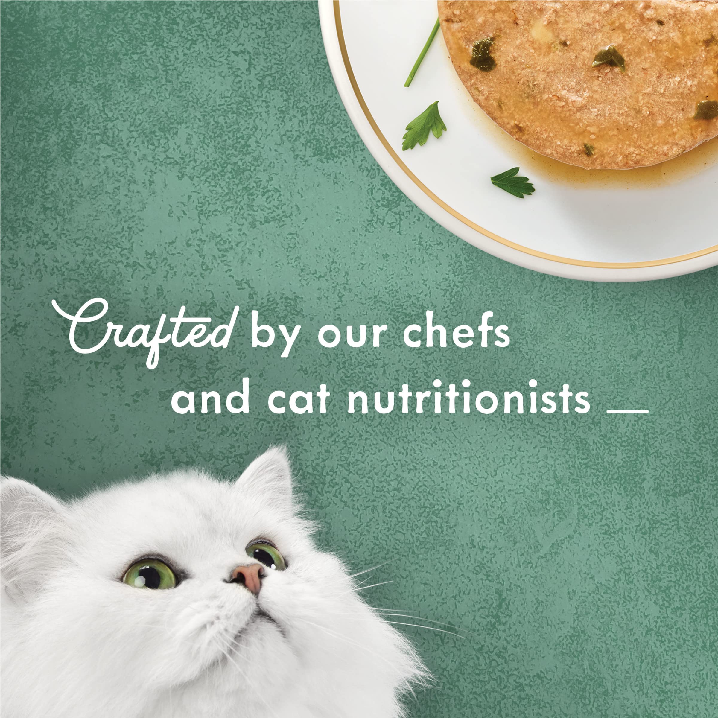 Fancy Feast portion servie dans une assiette, repas prêt à l'emploi