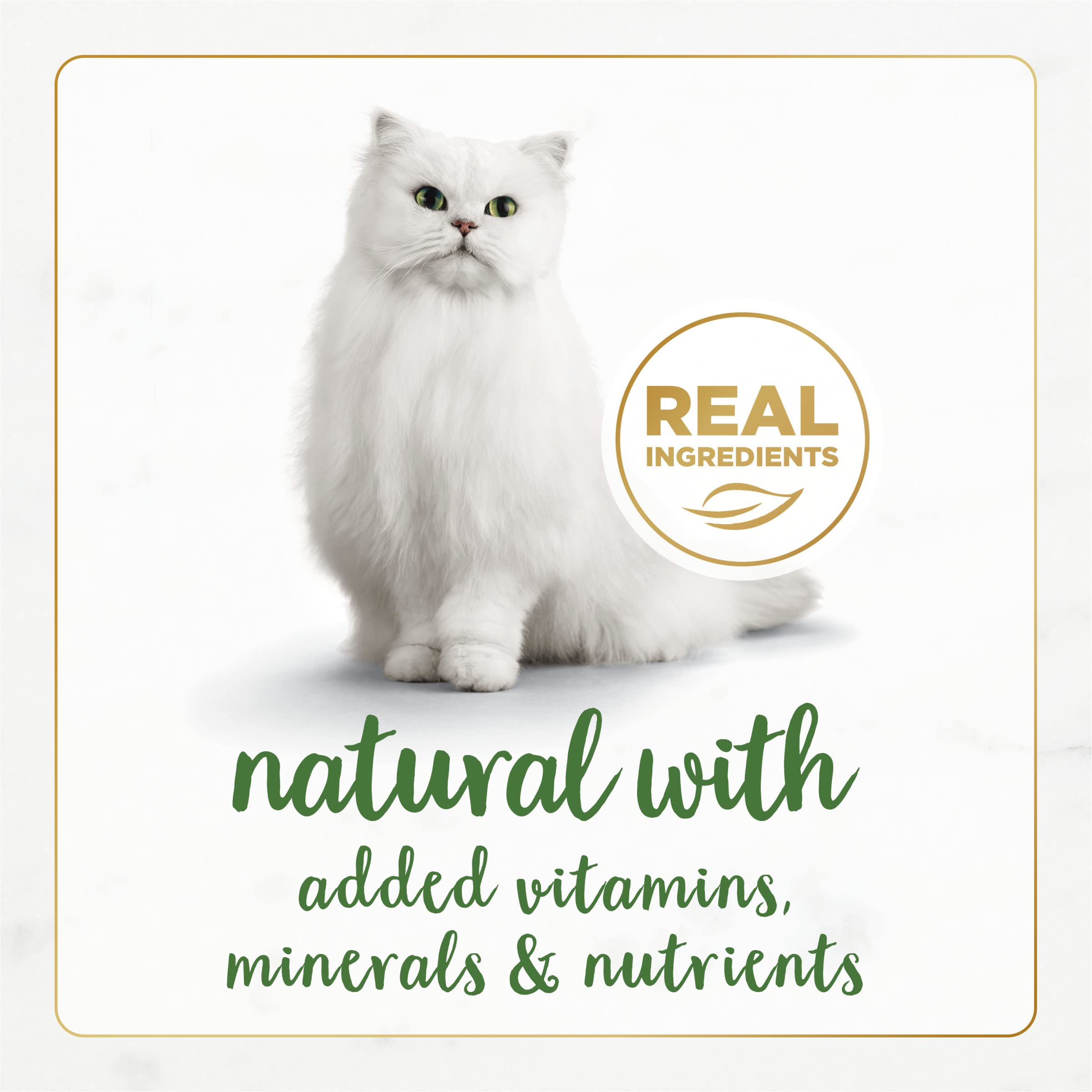 Fancy Feast Purina pack 24 boîtes pratique pour rotation de saveurs