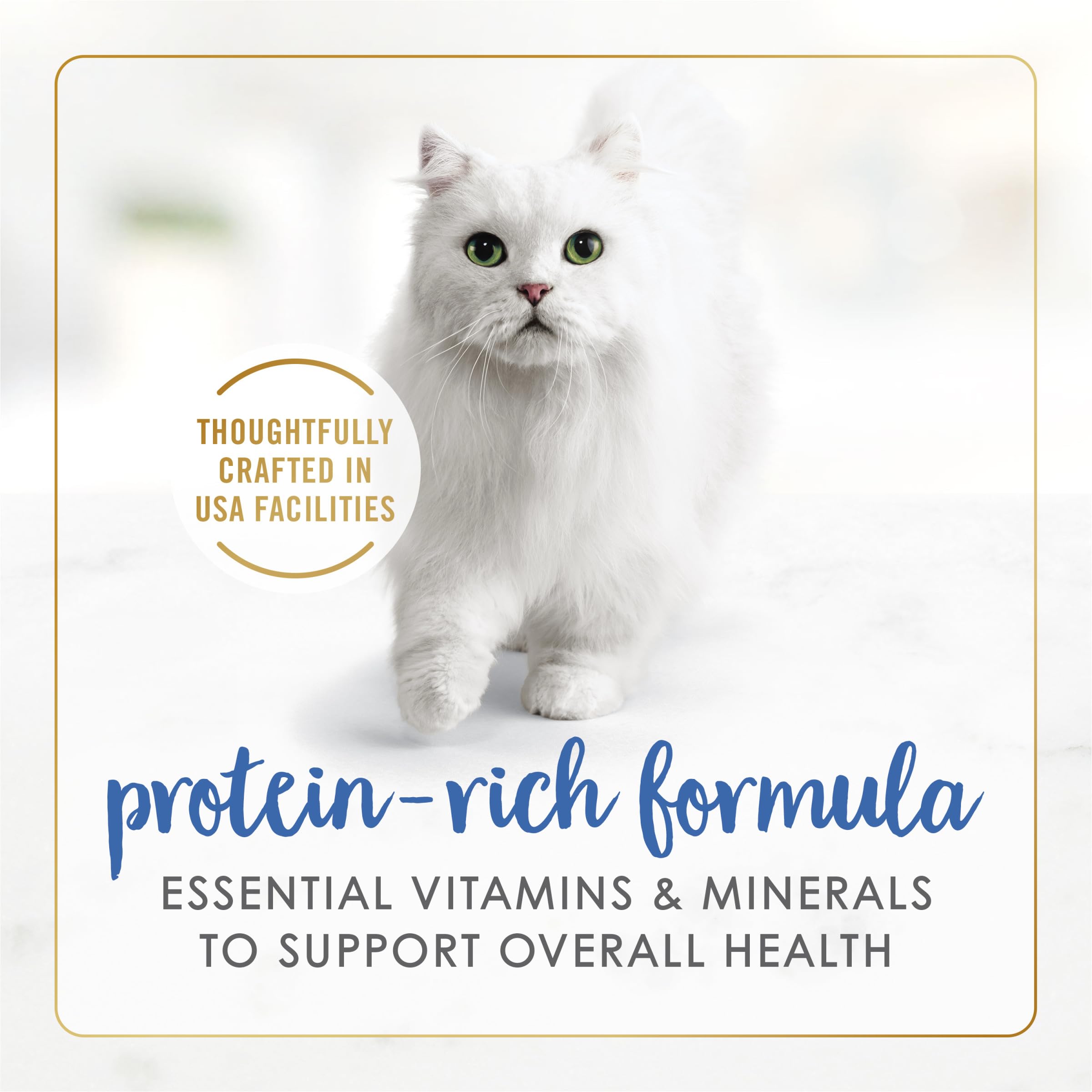 Fancy Feast Purina gros plan sur la sauce onctueuse attractivité accrue de la pâtée